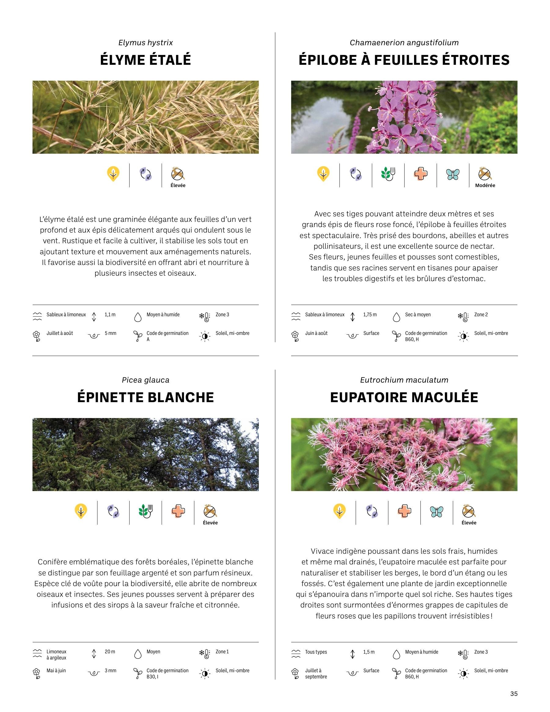 Akène Detailed Seed Catalog Weekly Ad January 1 - December 31, 2026