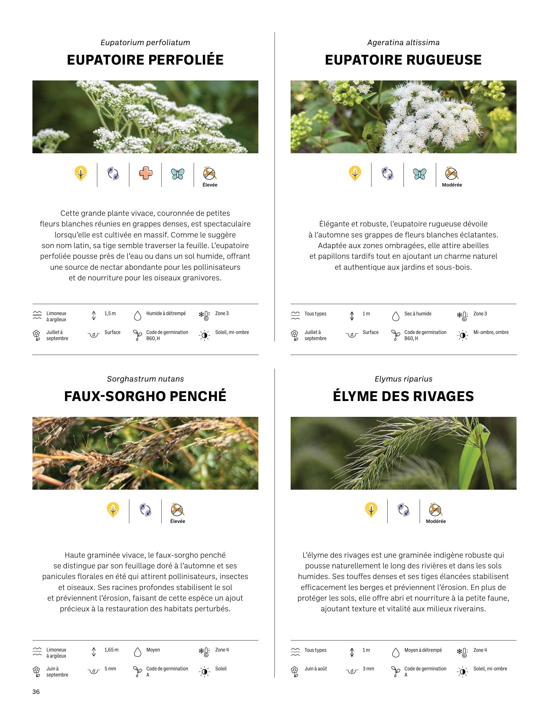 Akène Detailed Seed Catalog Weekly Ad January 1 - December 31, 2026