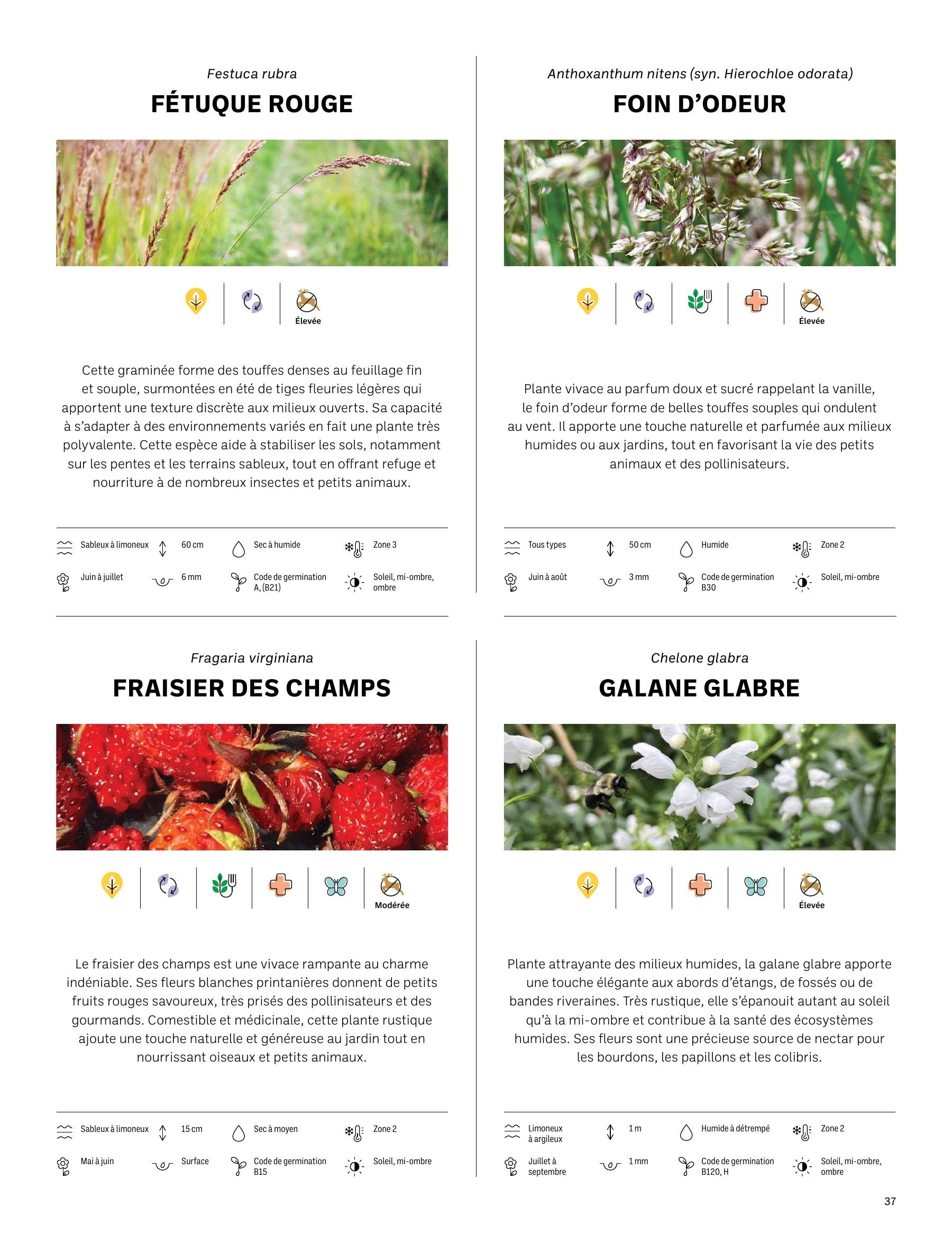 Akène Detailed Seed Catalog Weekly Ad January 1 - December 31, 2026