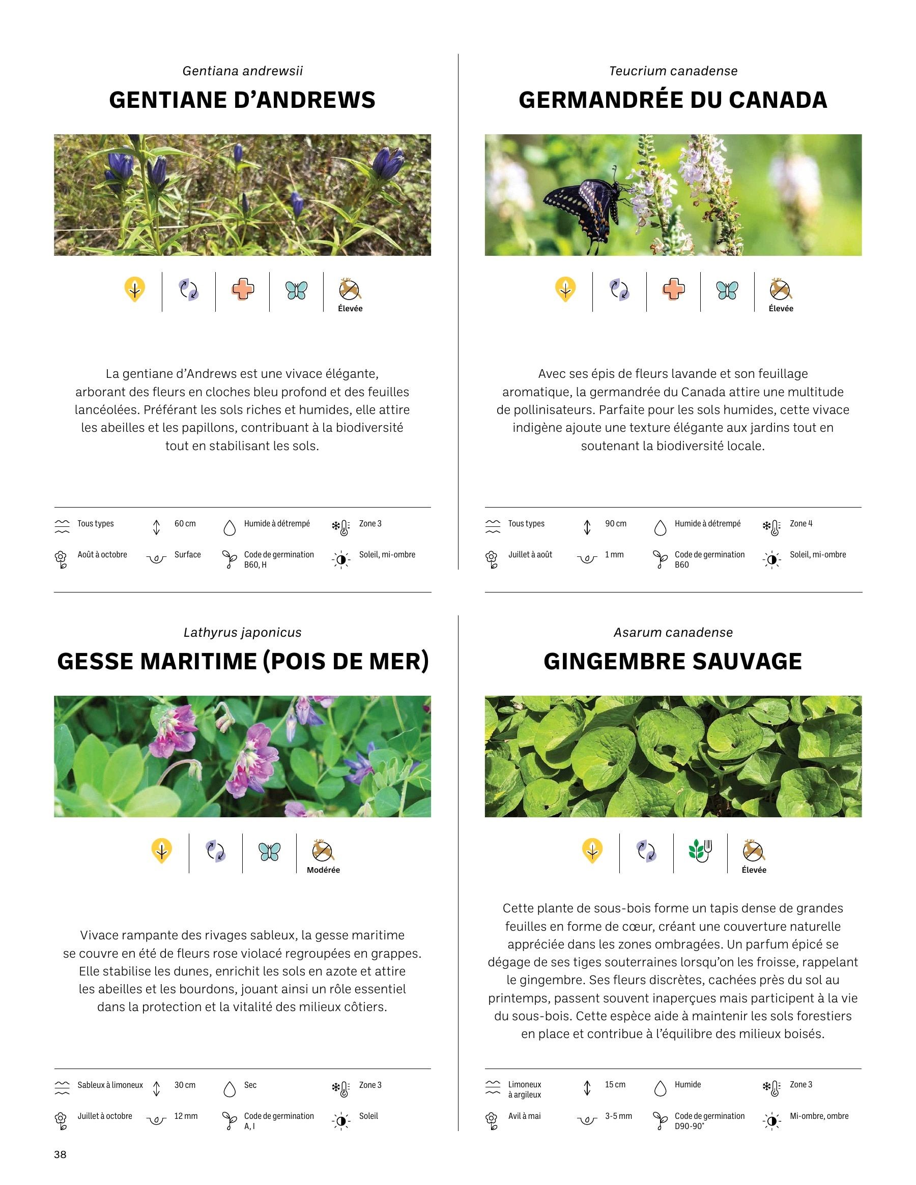 Akène Detailed Seed Catalog Weekly Ad January 1 - December 31, 2026