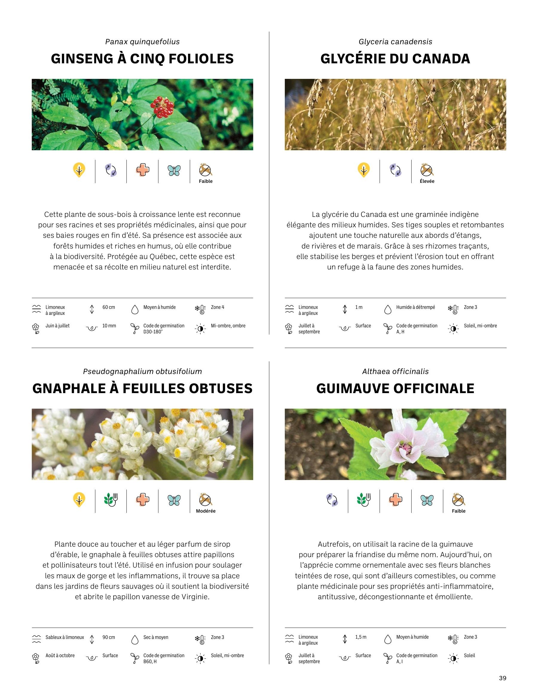 Akène Detailed Seed Catalog Weekly Ad January 1 - December 31, 2026
