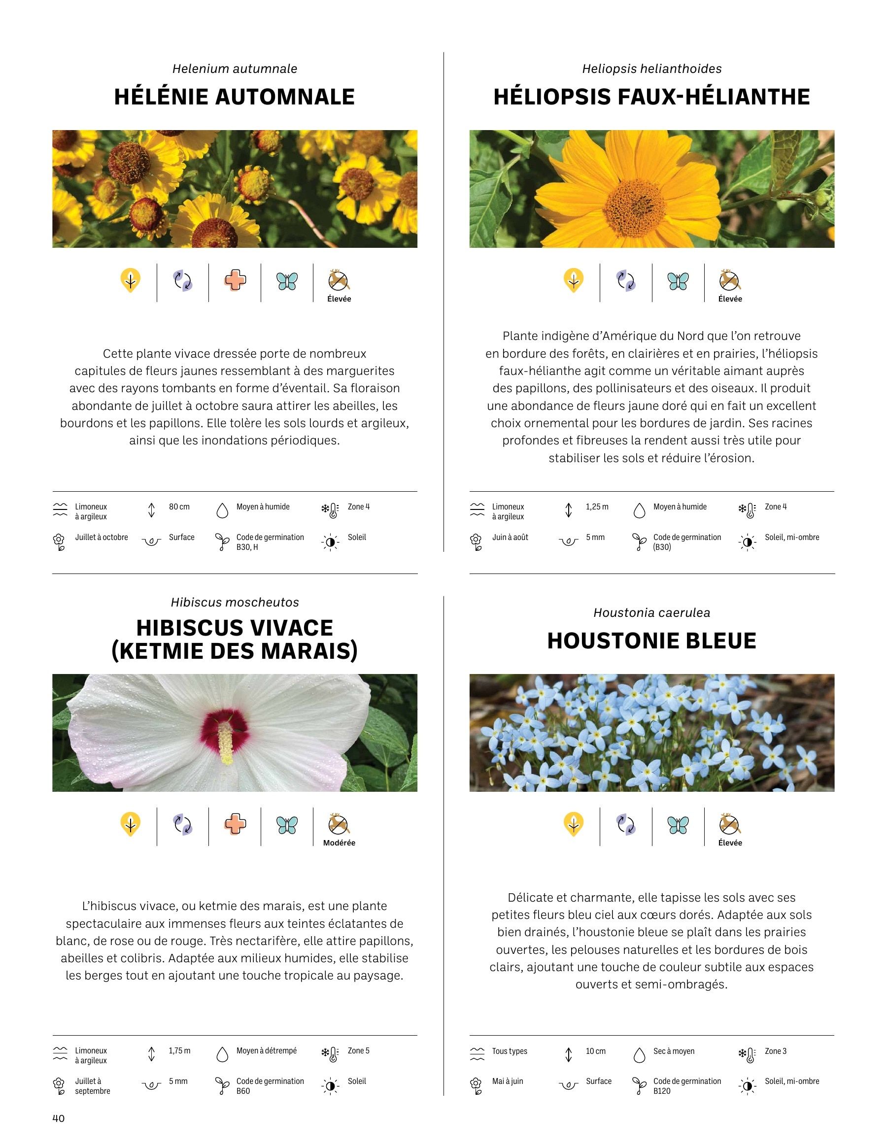 Akène Detailed Seed Catalog Weekly Ad January 1 - December 31, 2026