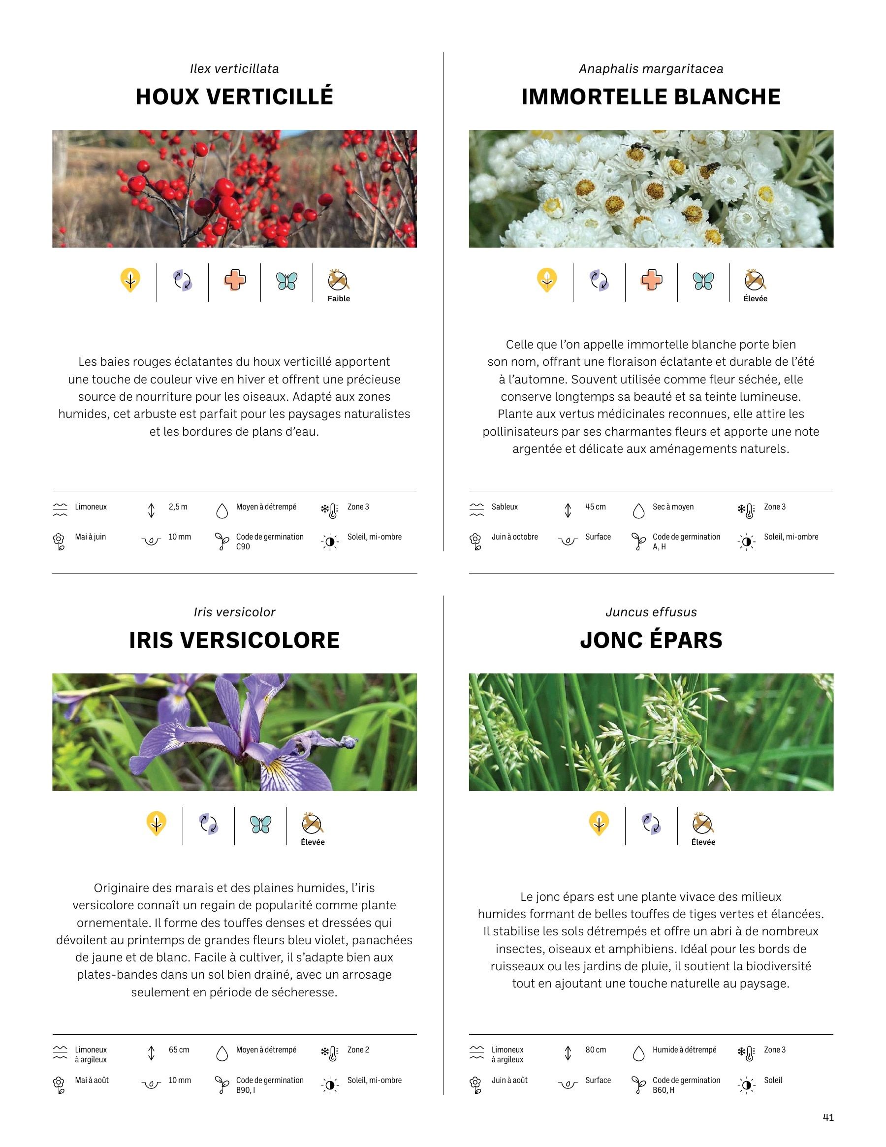 Akène Detailed Seed Catalog Weekly Ad January 1 - December 31, 2026