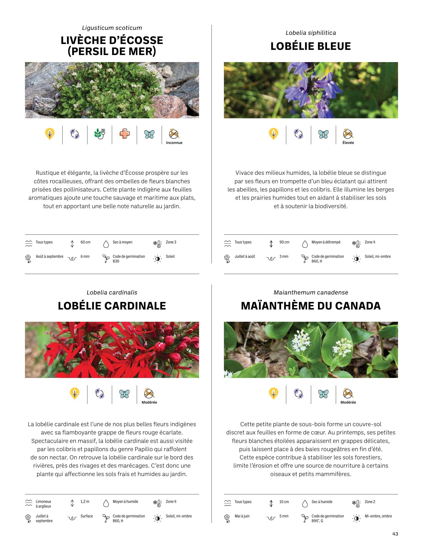 Akène Detailed Seed Catalog Weekly Ad January 1 - December 31, 2026
