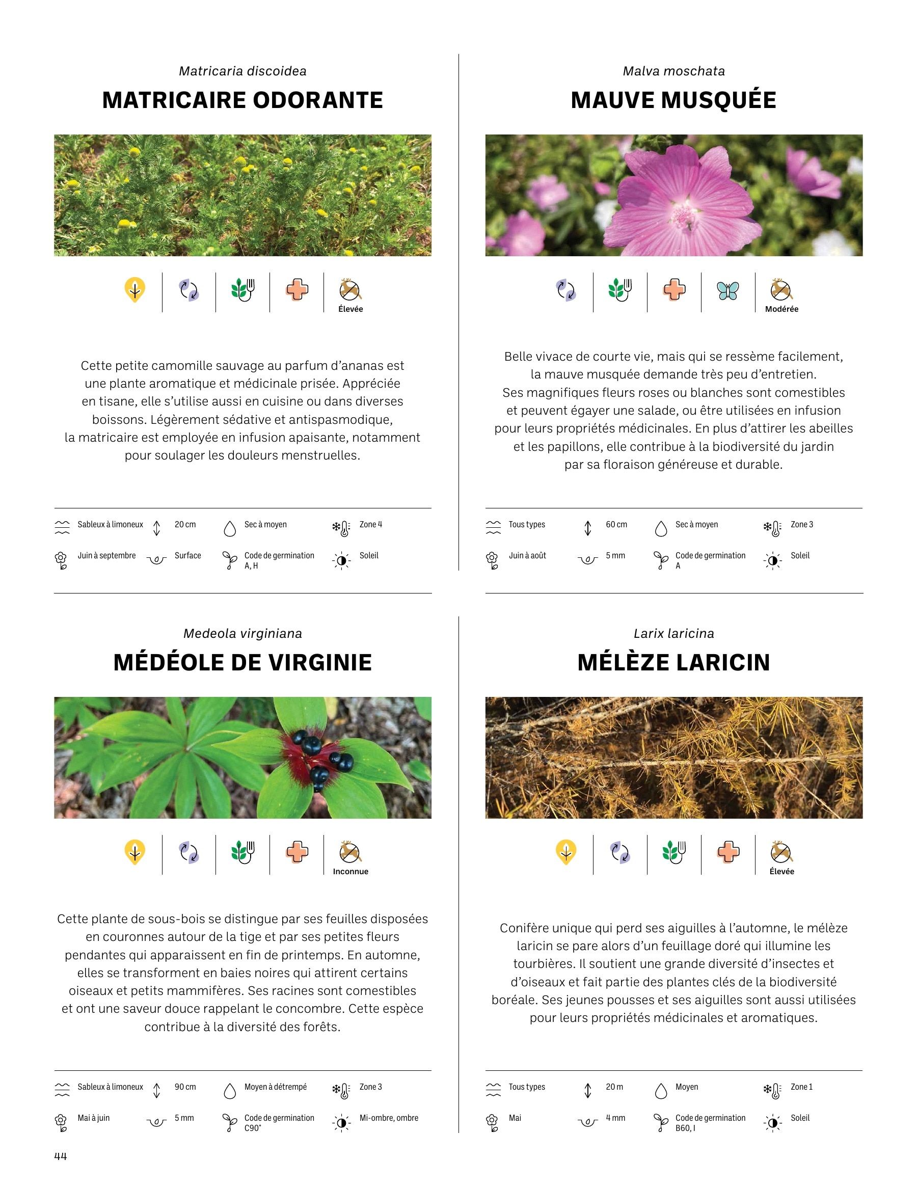 Akène Detailed Seed Catalog Weekly Ad January 1 - December 31, 2026