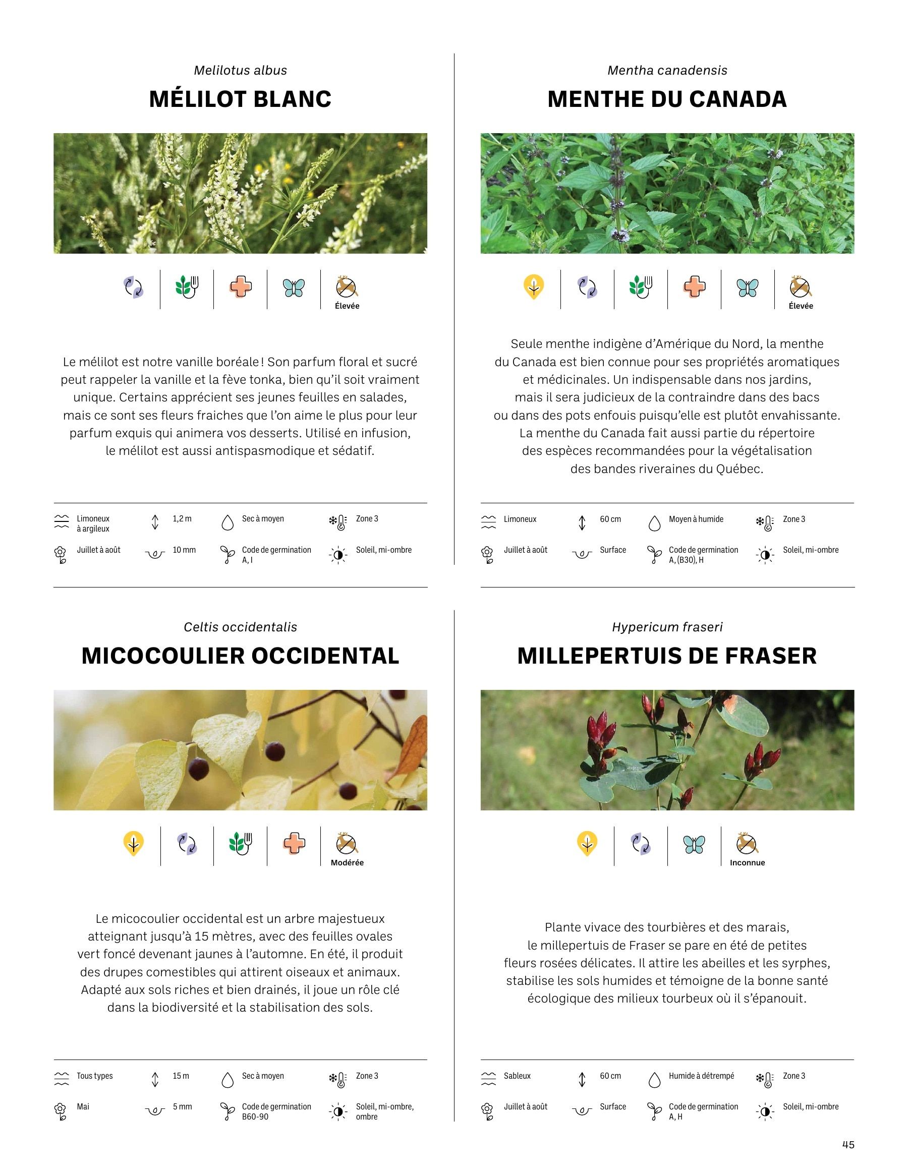 Akène Detailed Seed Catalog Weekly Ad January 1 - December 31, 2026