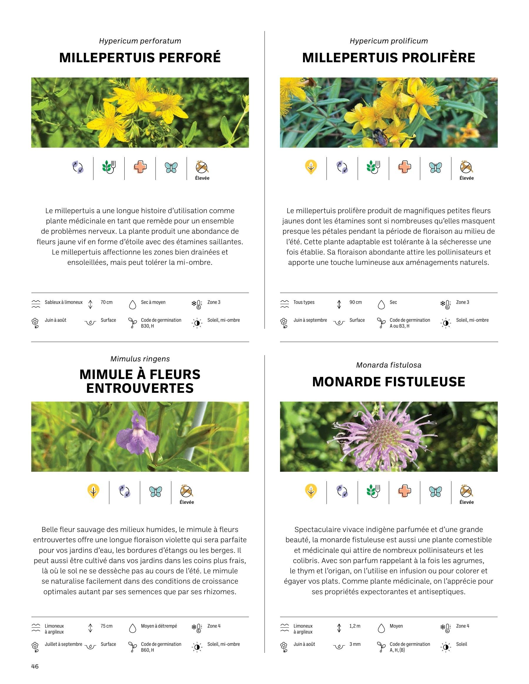 Akène Detailed Seed Catalog Weekly Ad January 1 - December 31, 2026