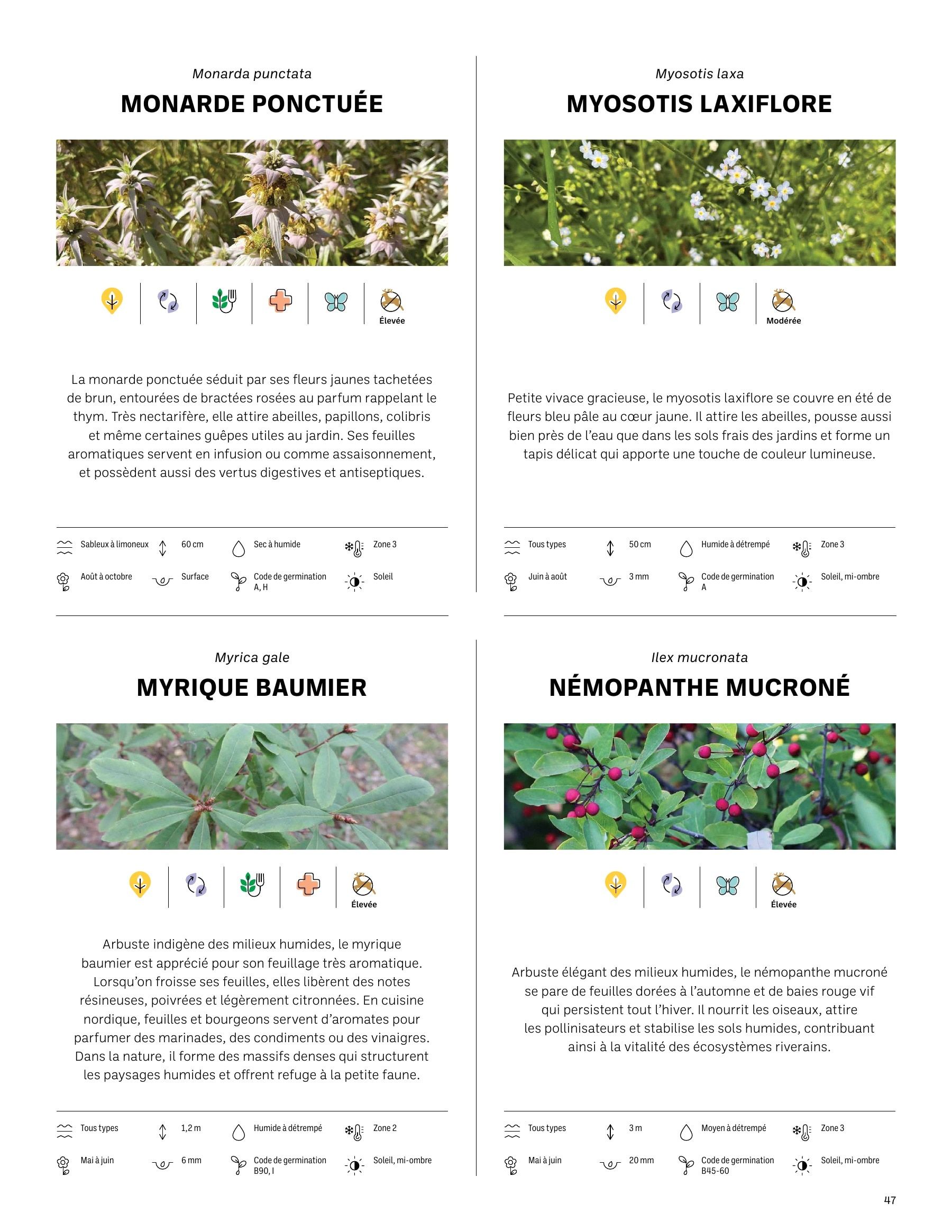 Akène Detailed Seed Catalog Weekly Ad January 1 - December 31, 2026