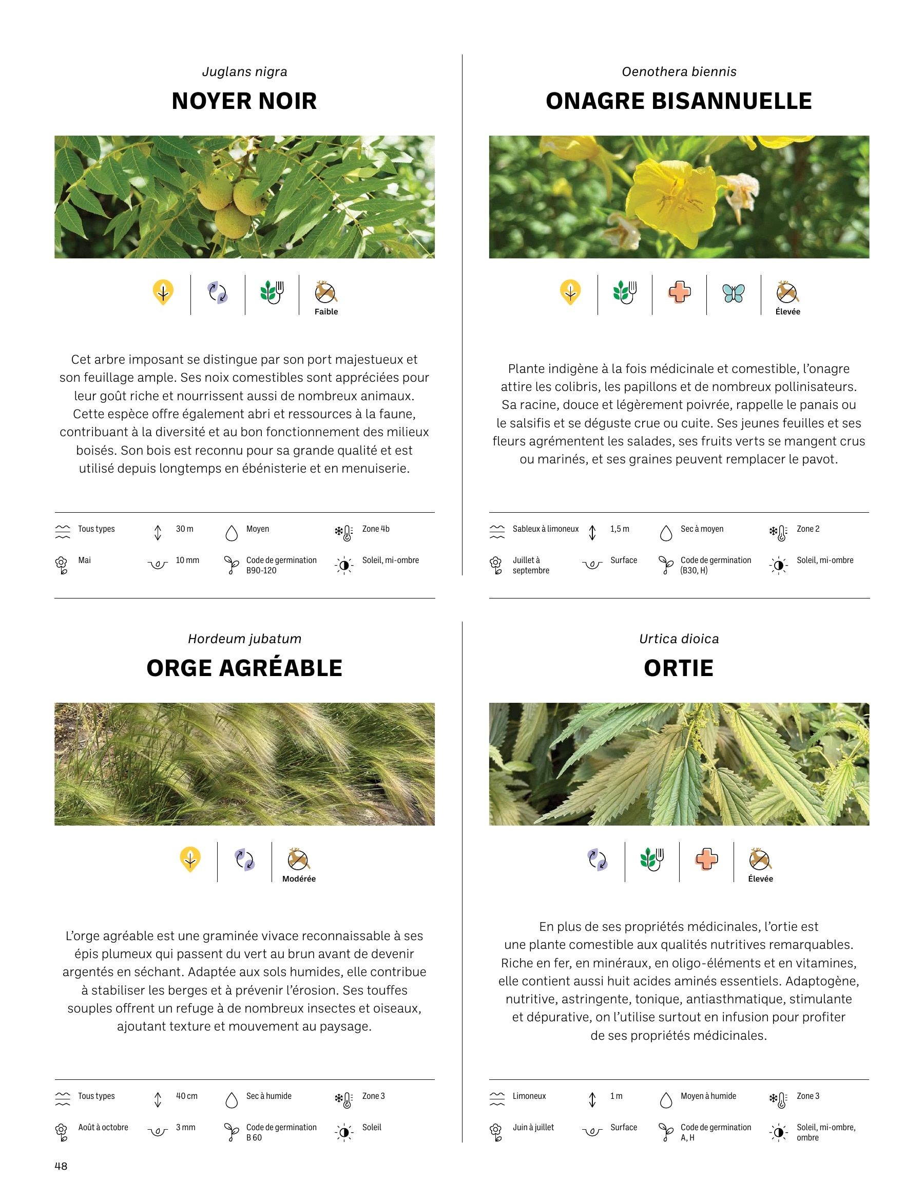 Akène Detailed Seed Catalog Weekly Ad January 1 - December 31, 2026