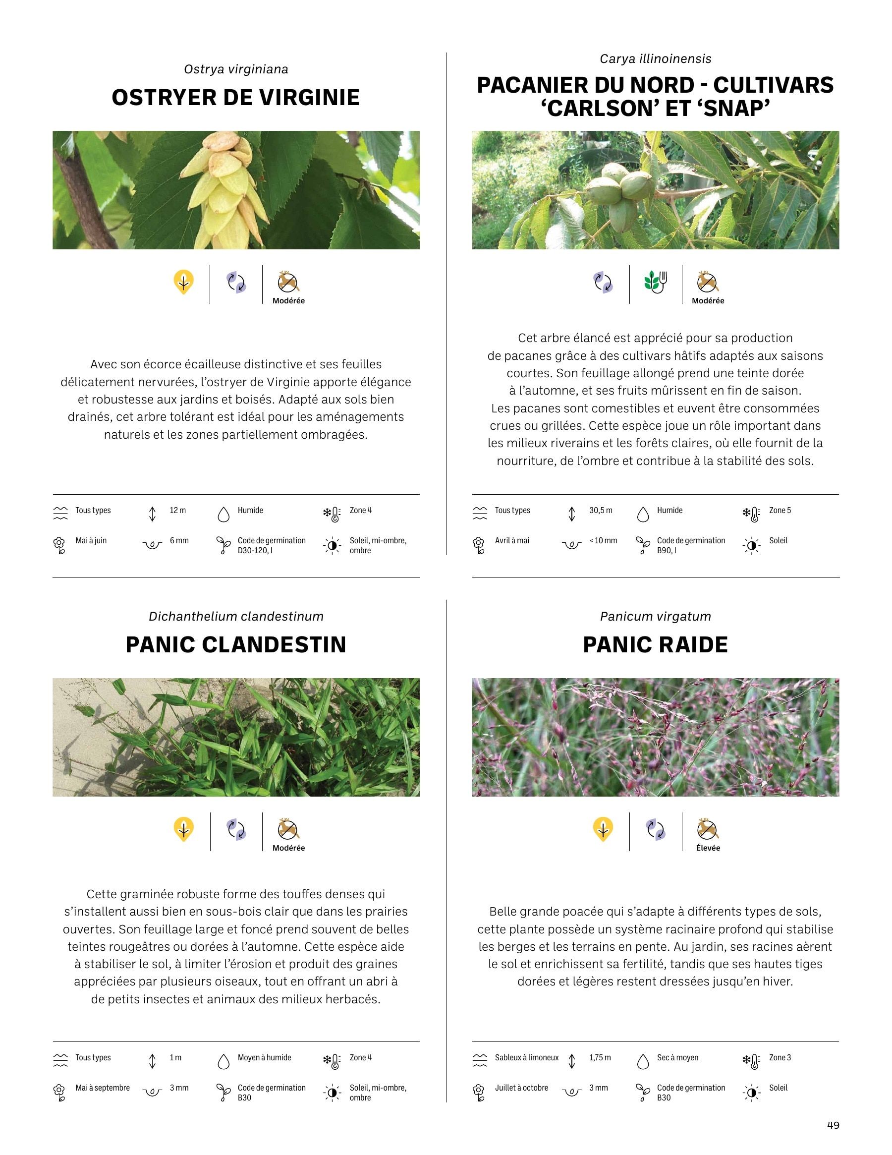 Akène Detailed Seed Catalog Weekly Ad January 1 - December 31, 2026