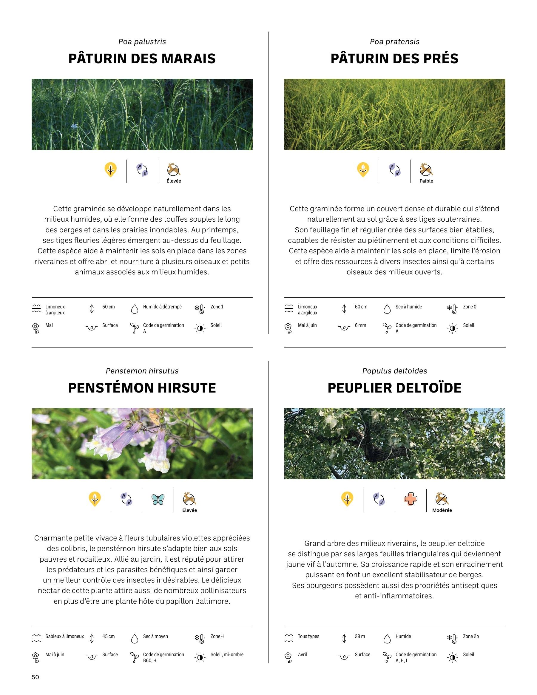 Akène Detailed Seed Catalog Weekly Ad January 1 - December 31, 2026