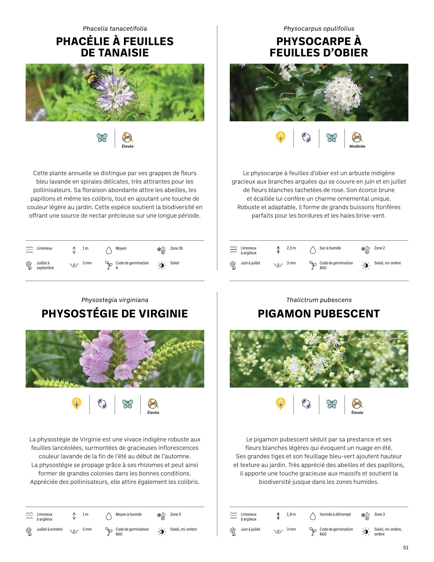 Akène Detailed Seed Catalog Weekly Ad January 1 - December 31, 2026