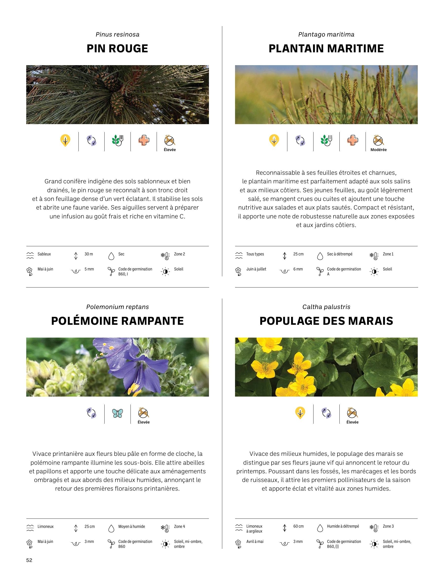 Akène Detailed Seed Catalog Weekly Ad January 1 - December 31, 2026