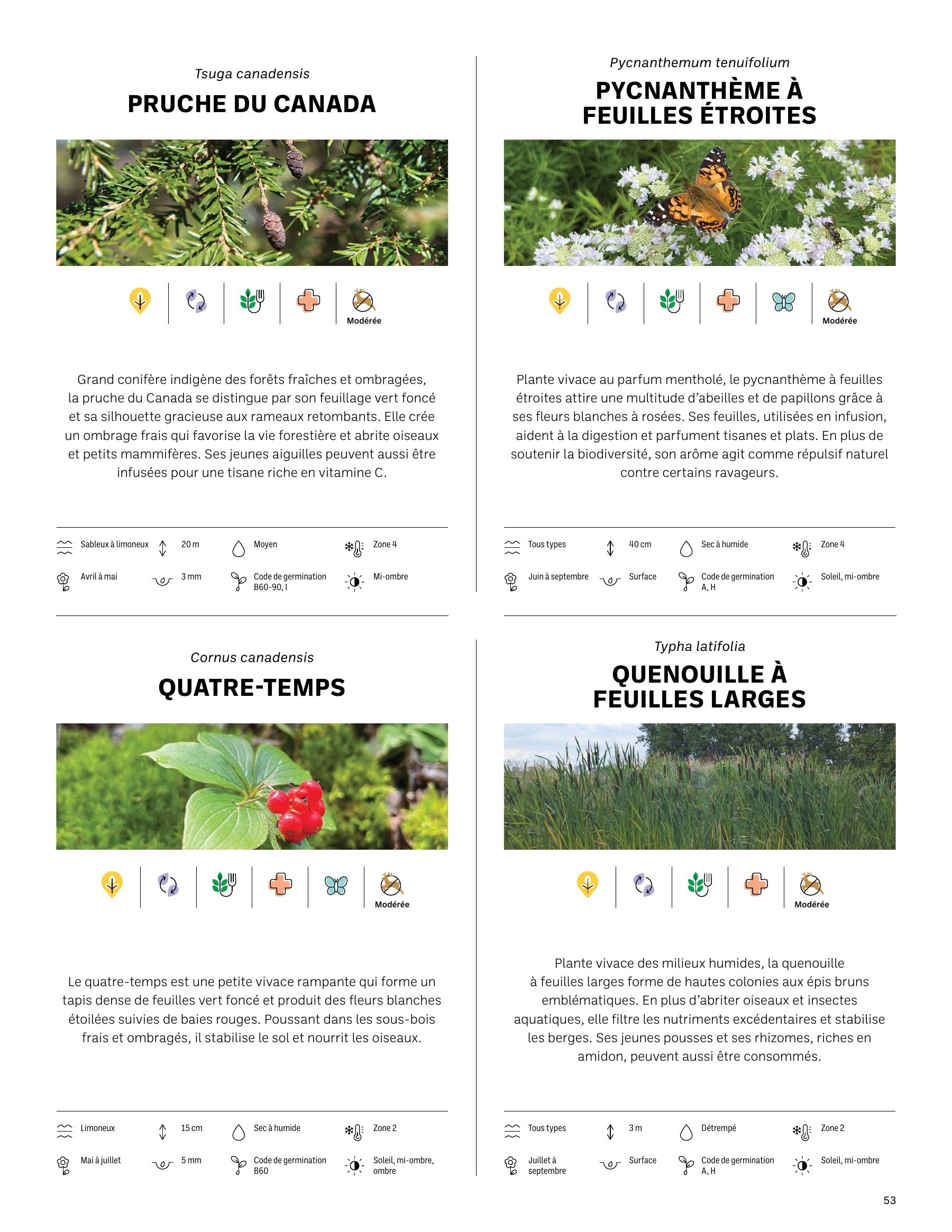 Akène Detailed Seed Catalog Weekly Ad January 1 - December 31, 2026
