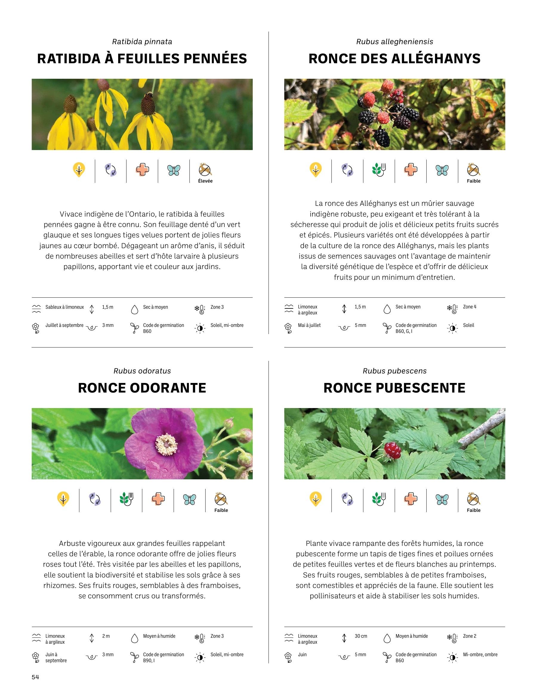 Akène Detailed Seed Catalog Weekly Ad January 1 - December 31, 2026
