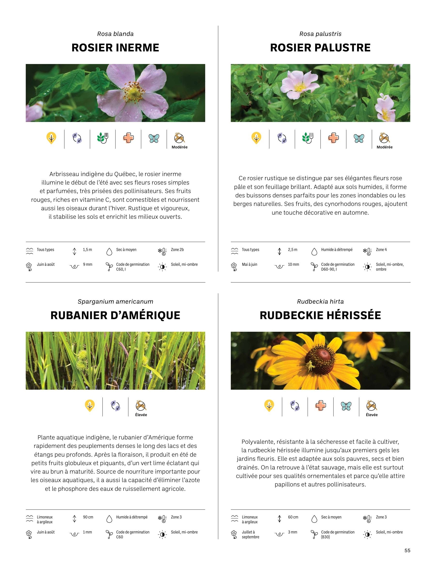 Akène Detailed Seed Catalog Weekly Ad January 1 - December 31, 2026