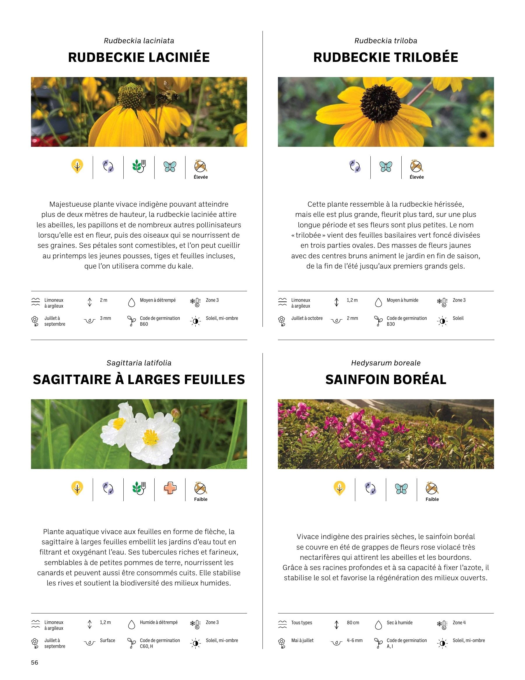 Akène Detailed Seed Catalog Weekly Ad January 1 - December 31, 2026