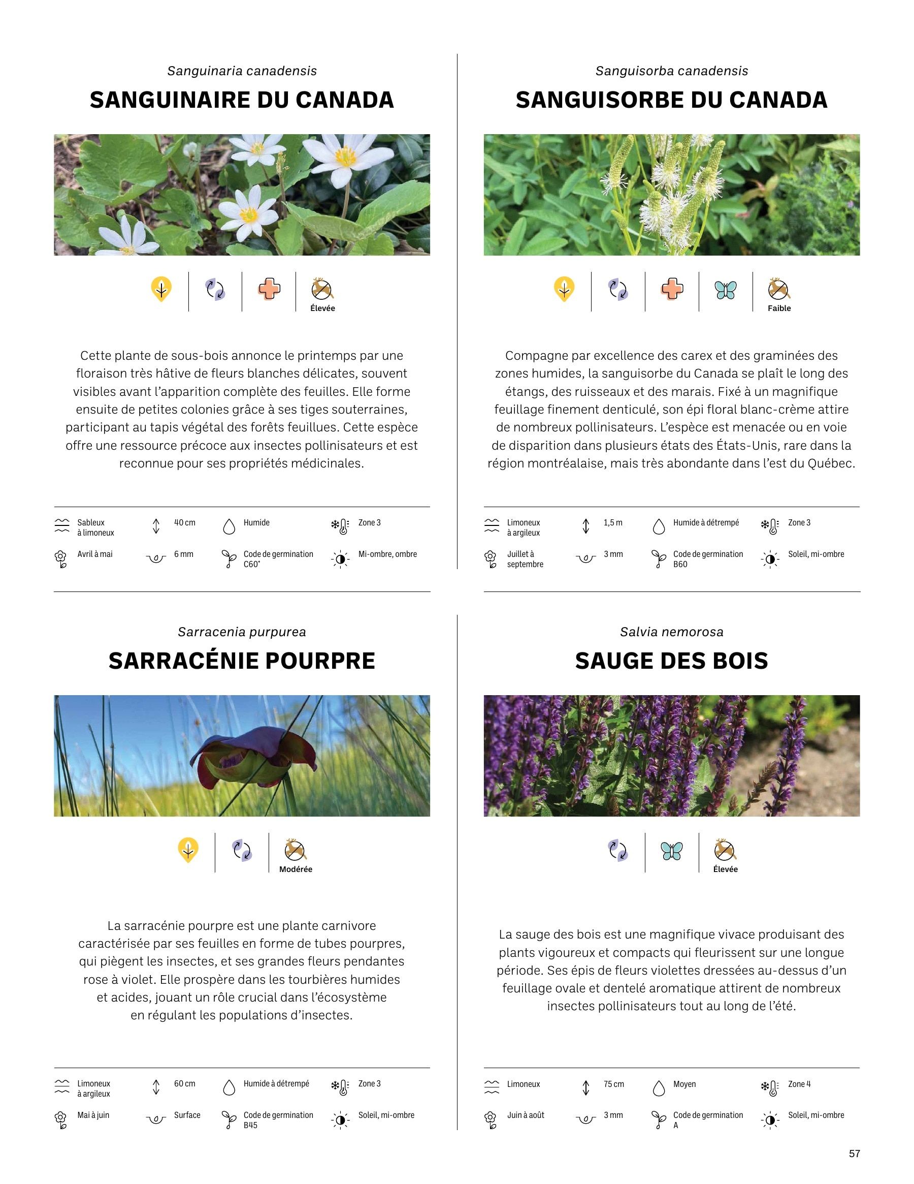 Akène Detailed Seed Catalog Weekly Ad January 1 - December 31, 2026