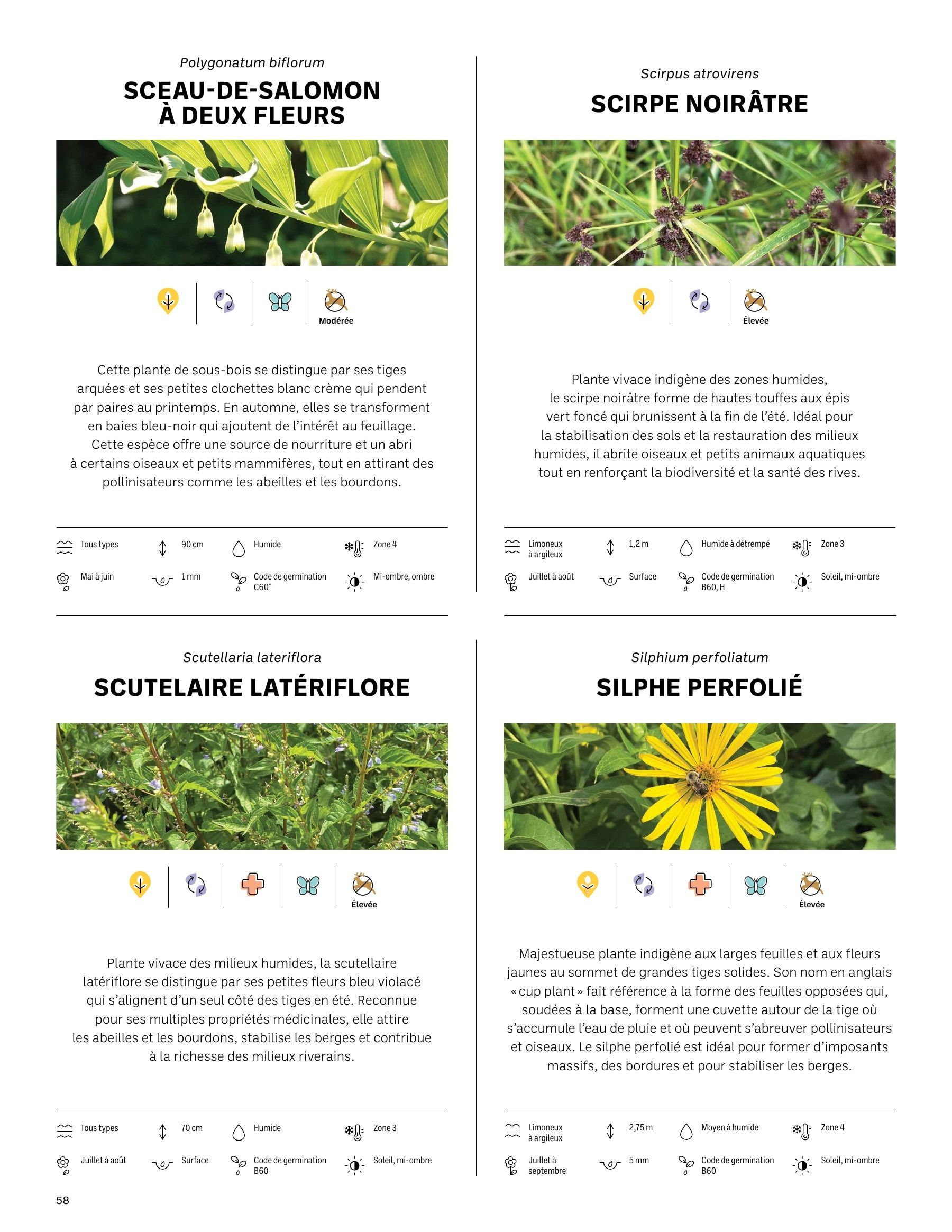 Akène Detailed Seed Catalog Weekly Ad January 1 - December 31, 2026