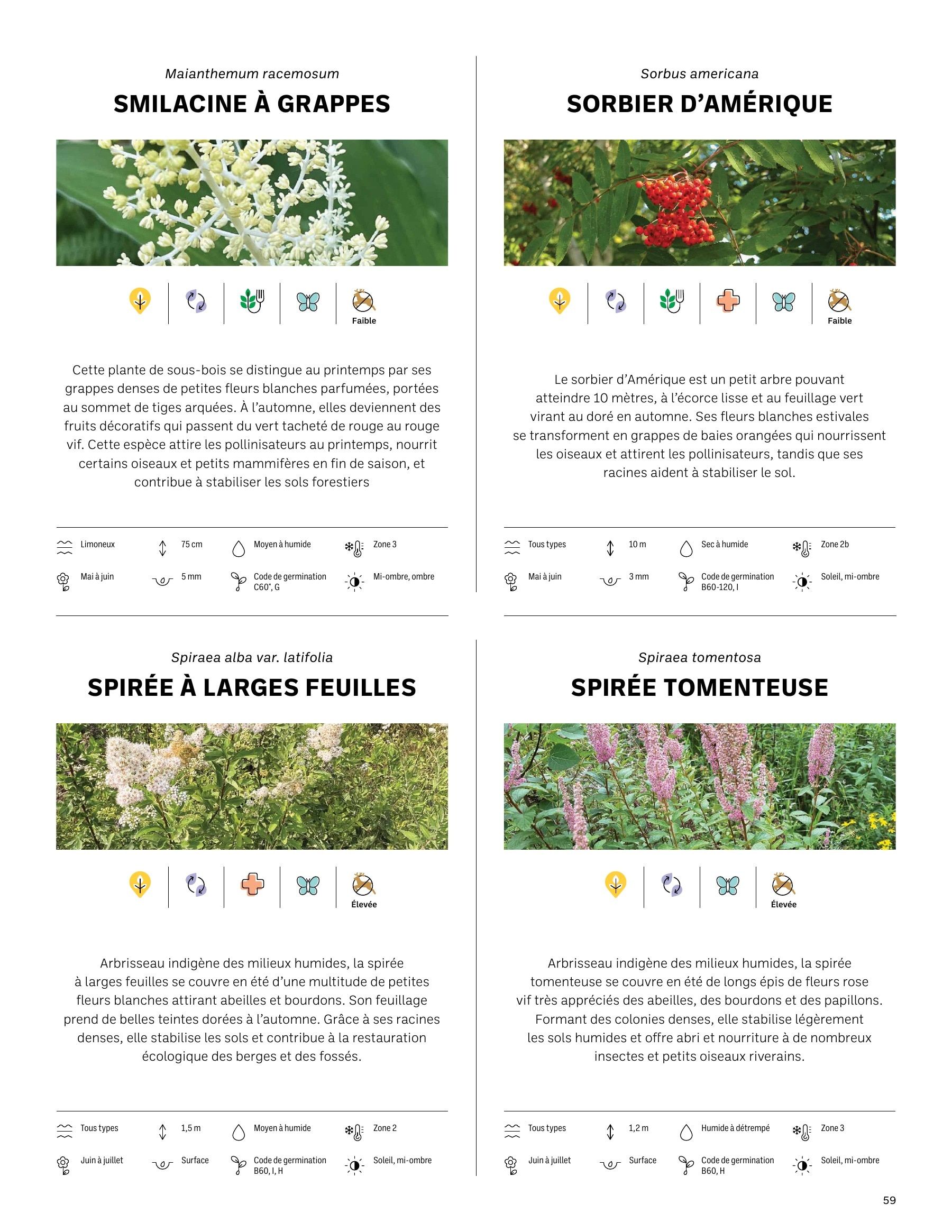 Akène Detailed Seed Catalog Weekly Ad January 1 - December 31, 2026
