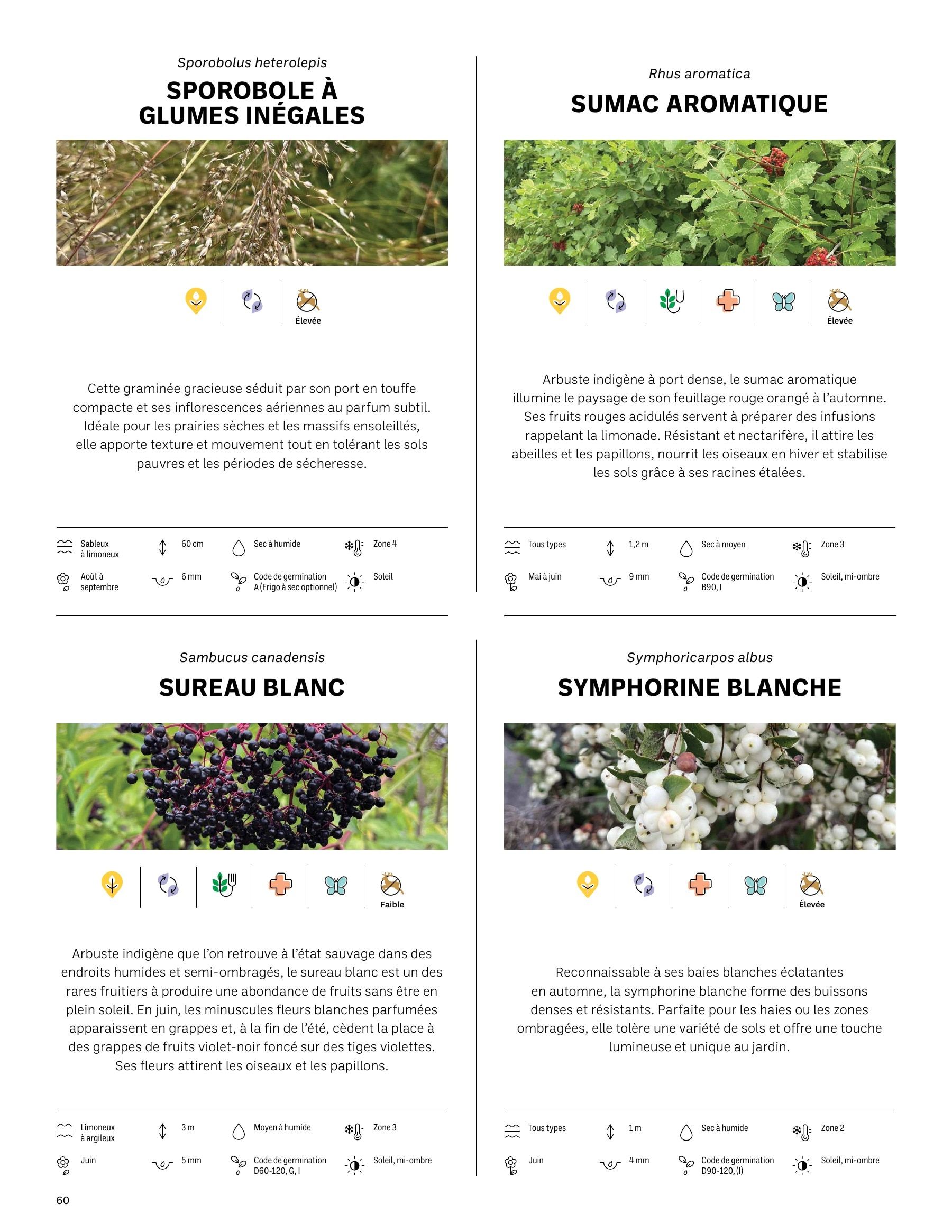 Akène Detailed Seed Catalog Weekly Ad January 1 - December 31, 2026