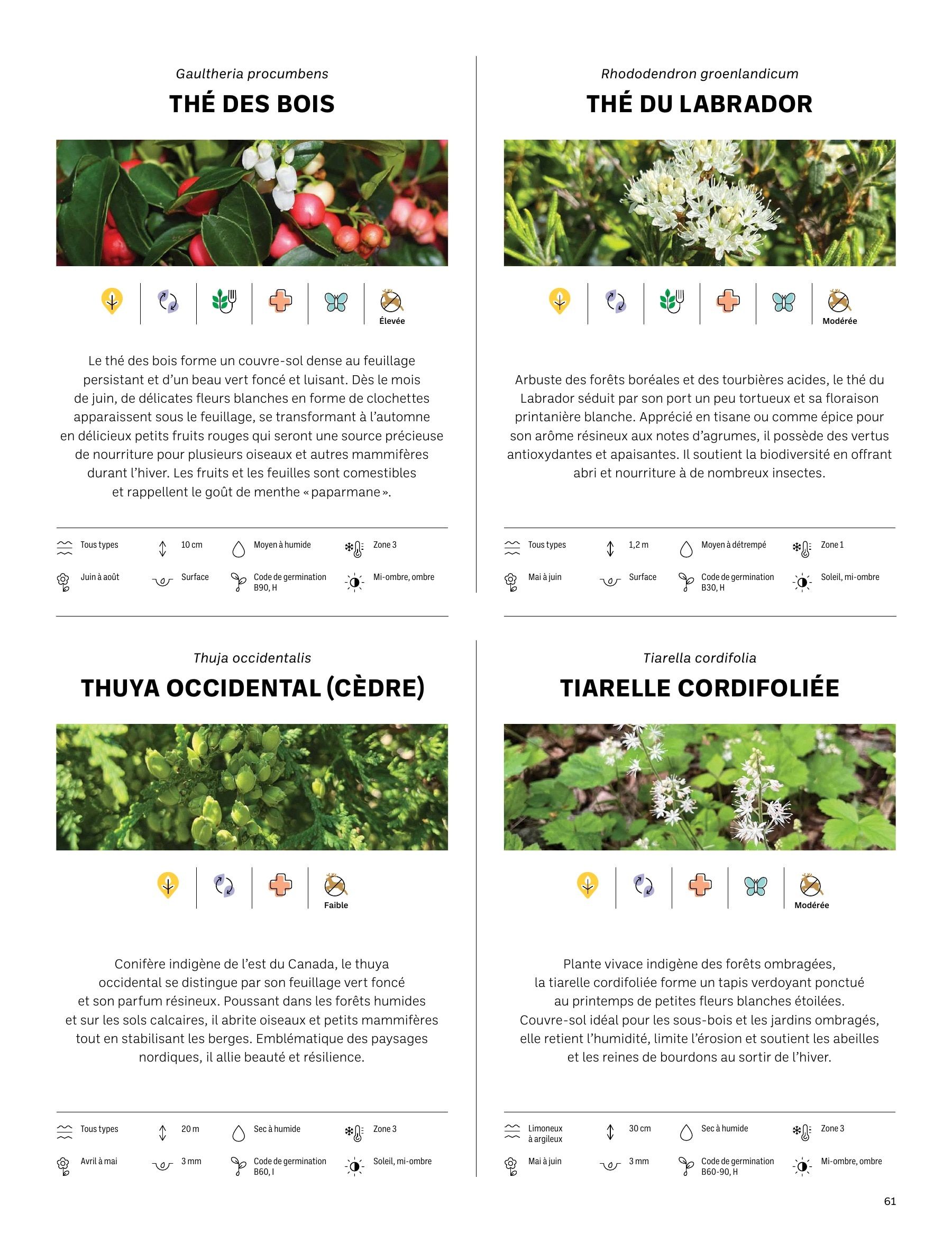 Akène Detailed Seed Catalog Weekly Ad January 1 - December 31, 2026