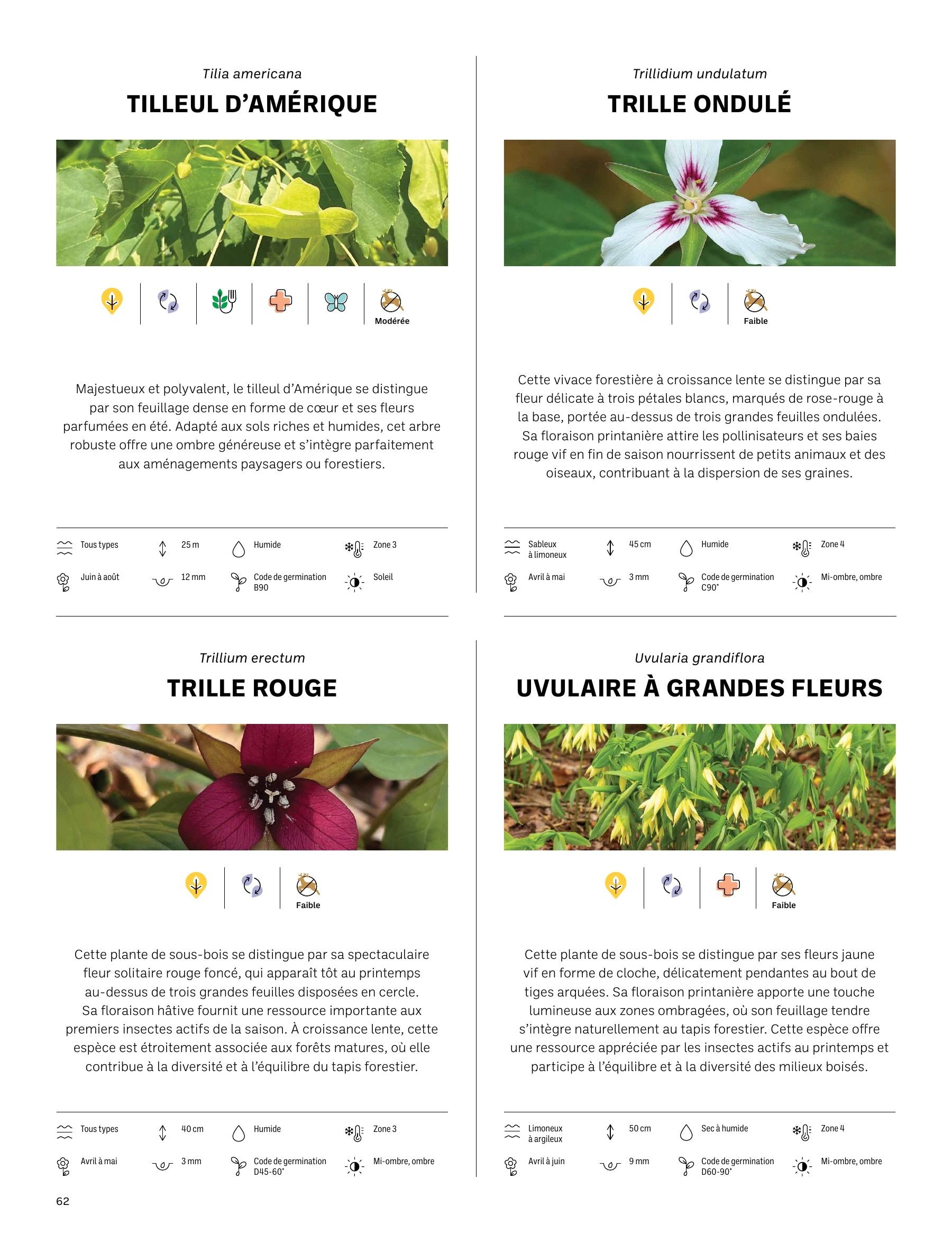 Akène Detailed Seed Catalog Weekly Ad January 1 - December 31, 2026