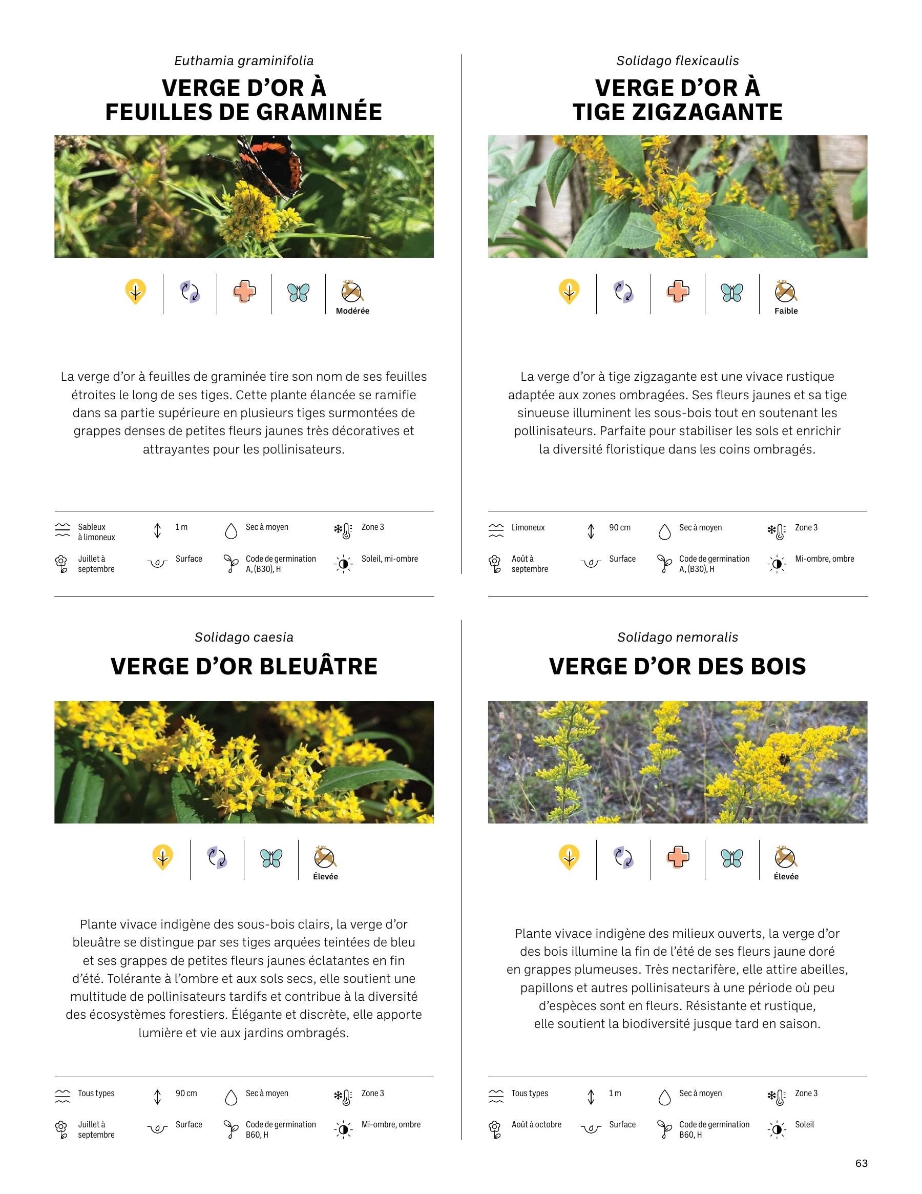 Akène Detailed Seed Catalog Weekly Ad January 1 - December 31, 2026