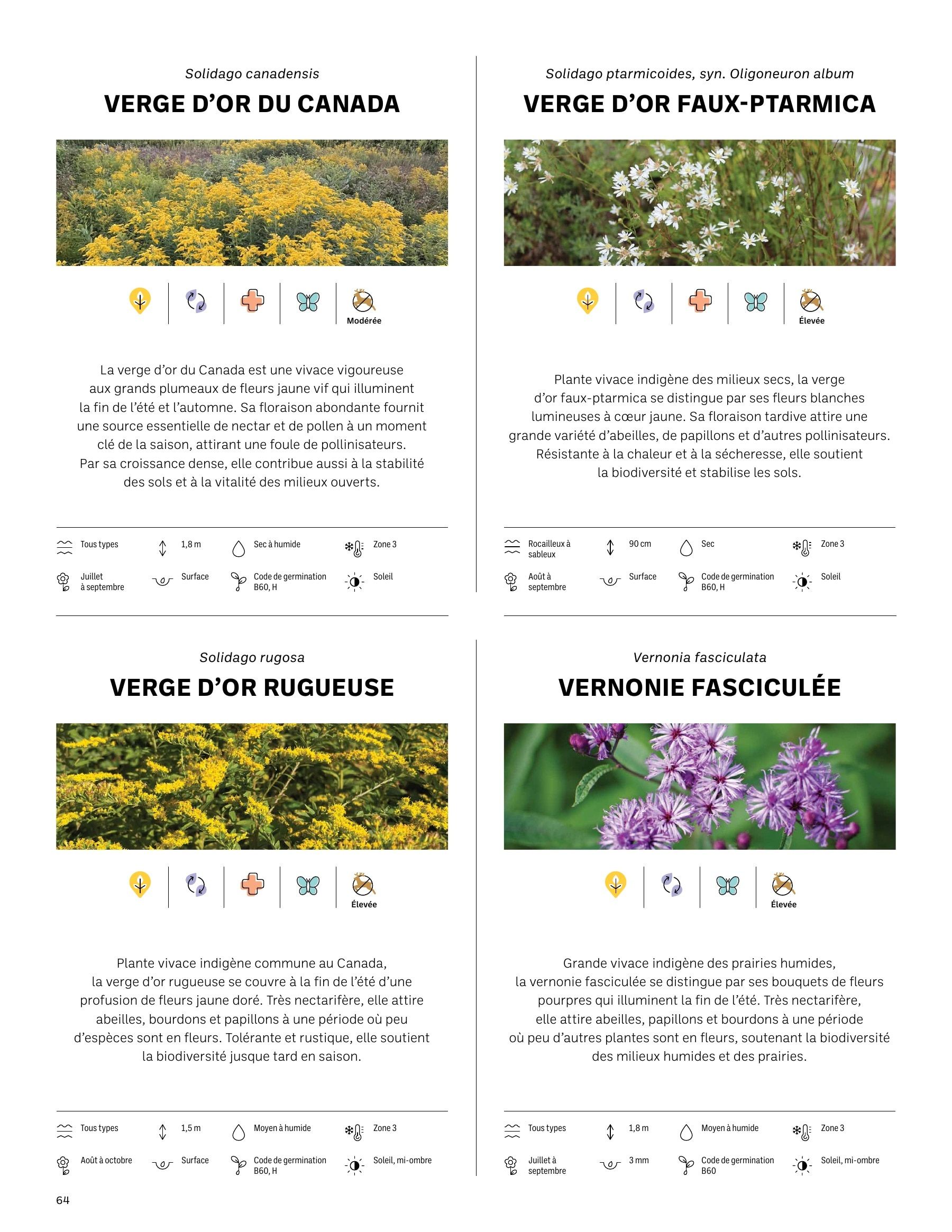 Akène Detailed Seed Catalog Weekly Ad January 1 - December 31, 2026