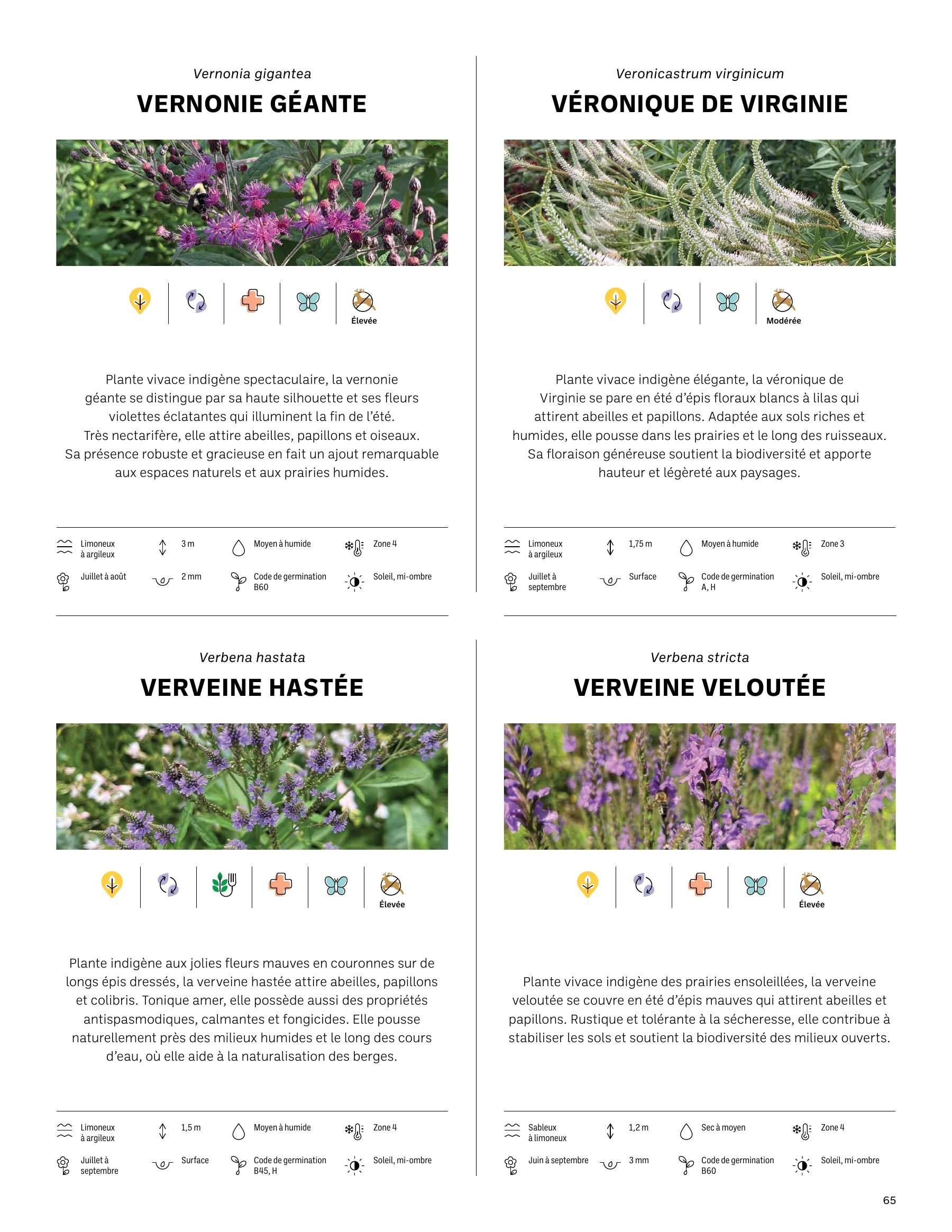 Akène Detailed Seed Catalog Weekly Ad January 1 - December 31, 2026