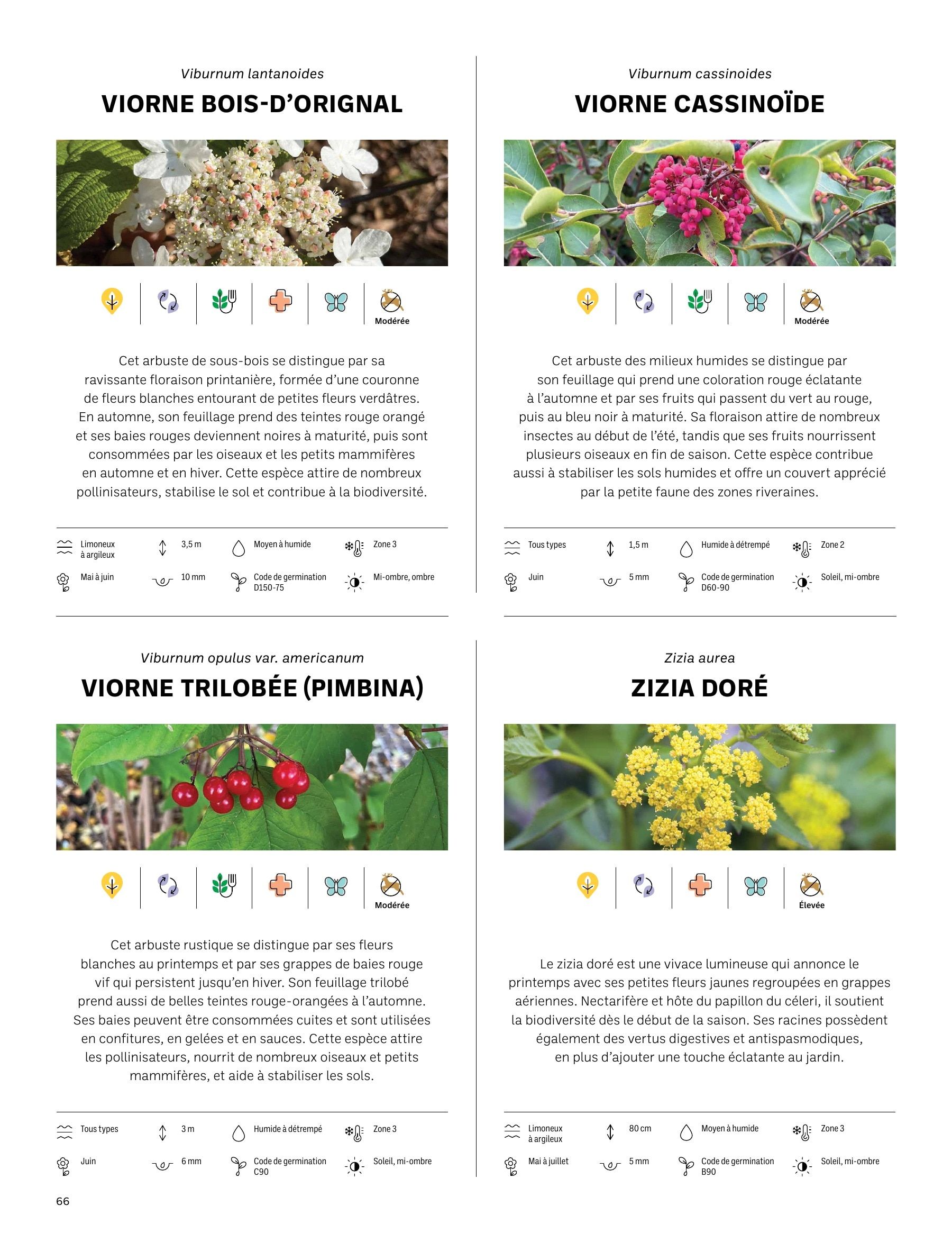 Akène Detailed Seed Catalog Weekly Ad January 1 - December 31, 2026