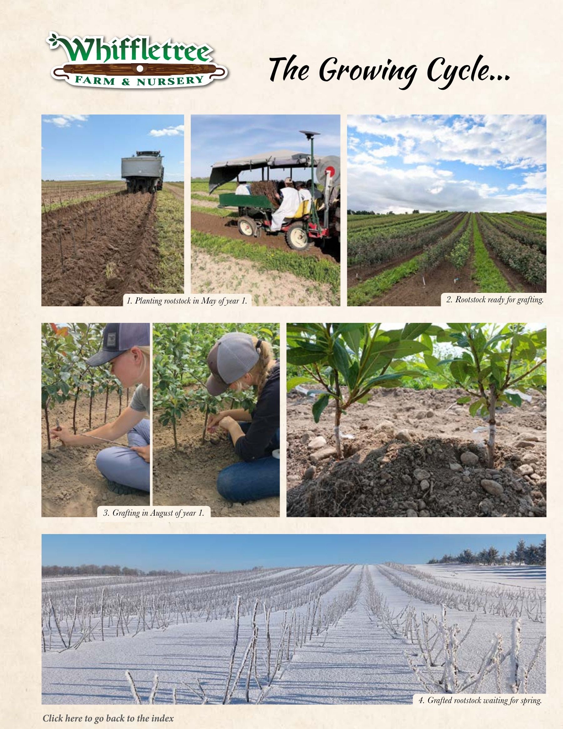 Whiffletree Farm & Nursery Annual Catalog Weekly Ad January 1 - December 31, 2026