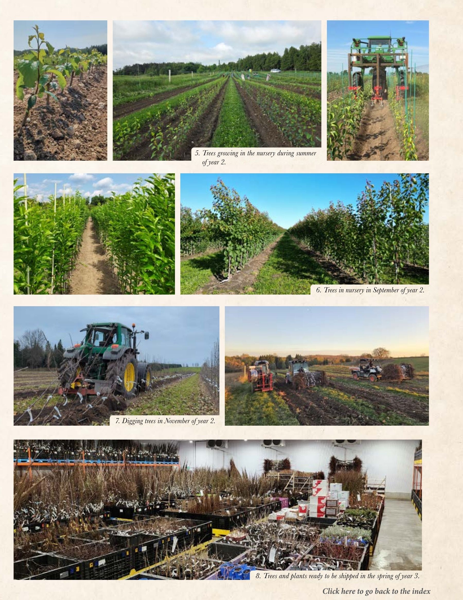 Whiffletree Farm & Nursery Annual Catalog Weekly Ad January 1 - December 31, 2026