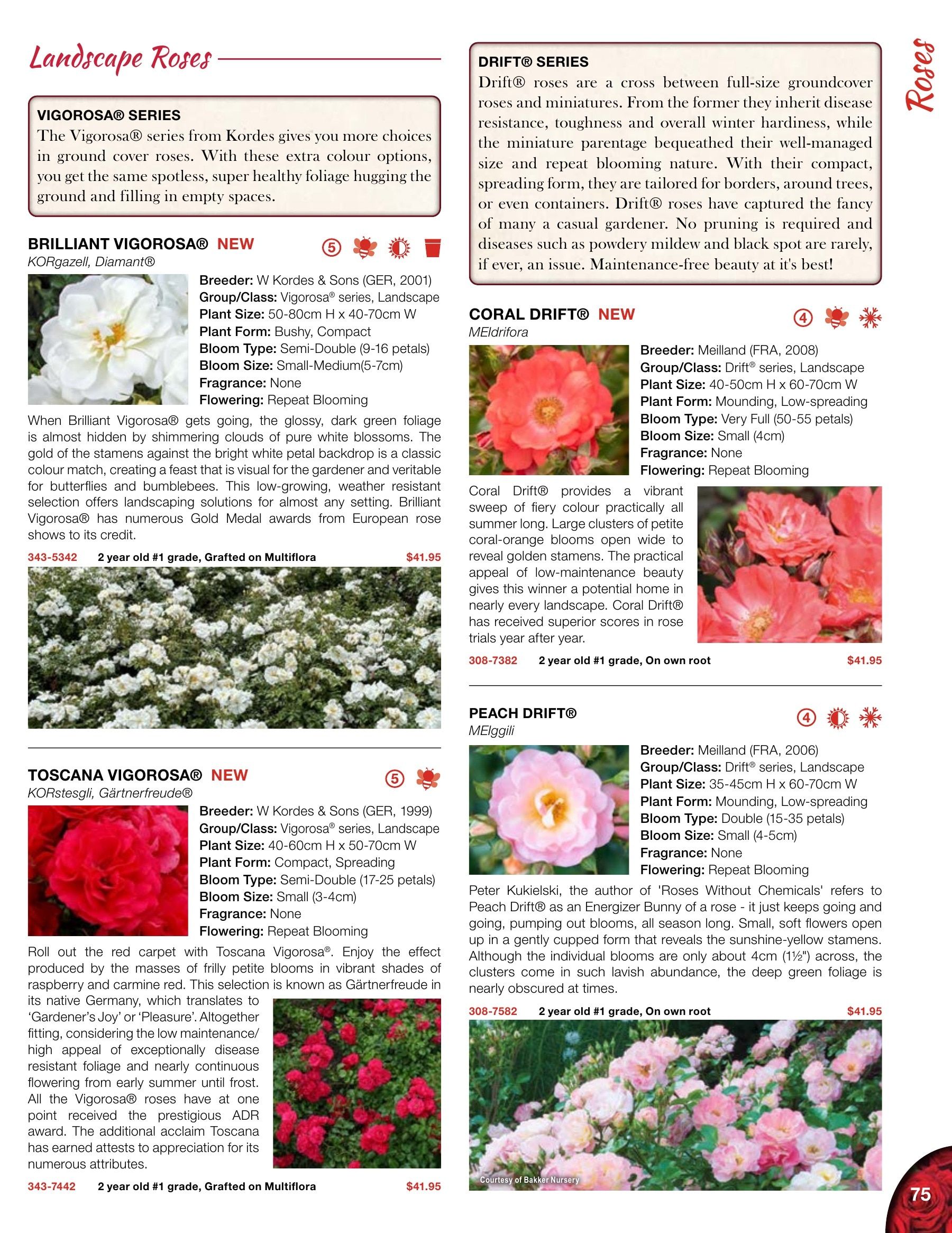 Whiffletree Farm & Nursery Annual Catalog Weekly Ad January 1 - December 31, 2026