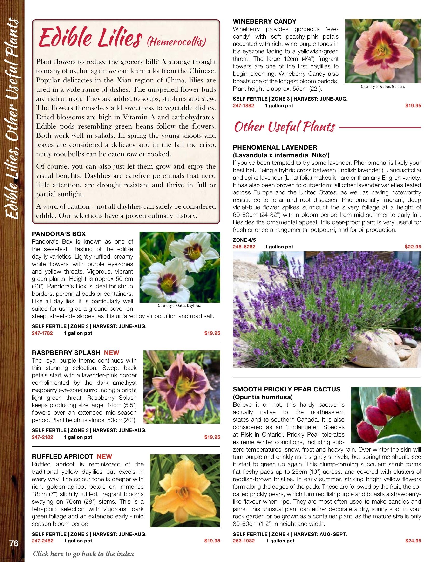 Whiffletree Farm & Nursery Annual Catalog Weekly Ad January 1 - December 31, 2026