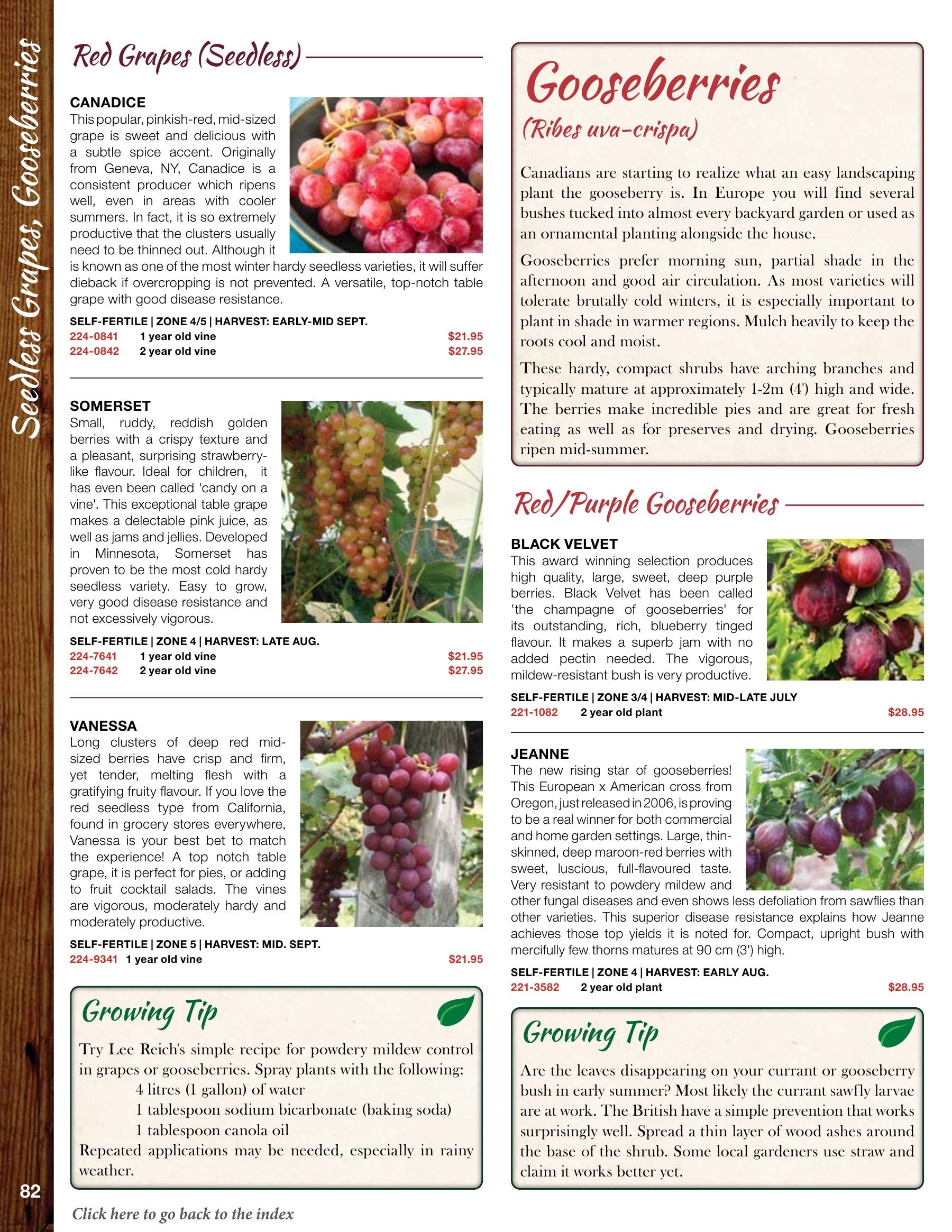 Whiffletree Farm & Nursery Annual Catalog Weekly Ad January 1 - December 31, 2026
