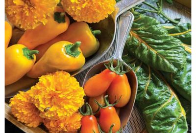 William Dam Seeds Annual Catalog Weekly Ad January 1 - October 31, 2026