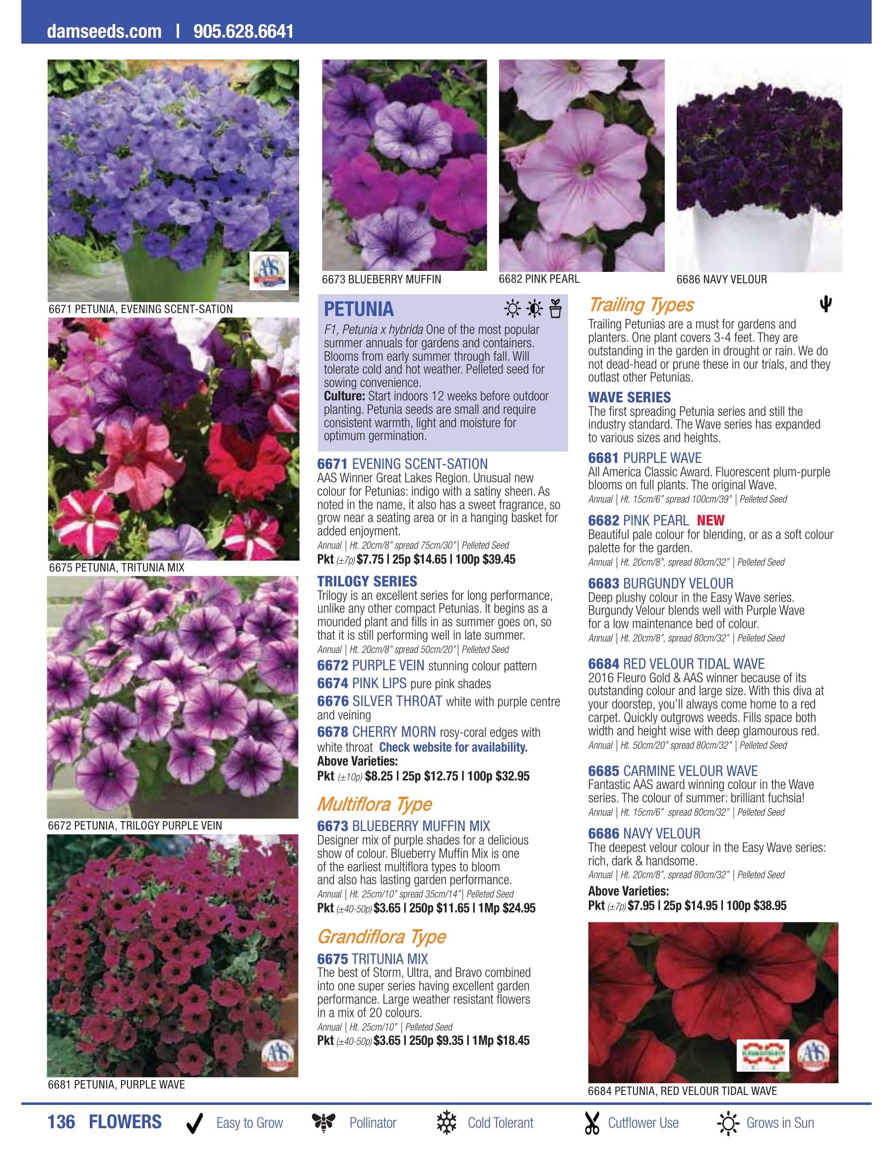 William Dam Seeds Annual Catalog Weekly Ad January 1 - October 31, 2026