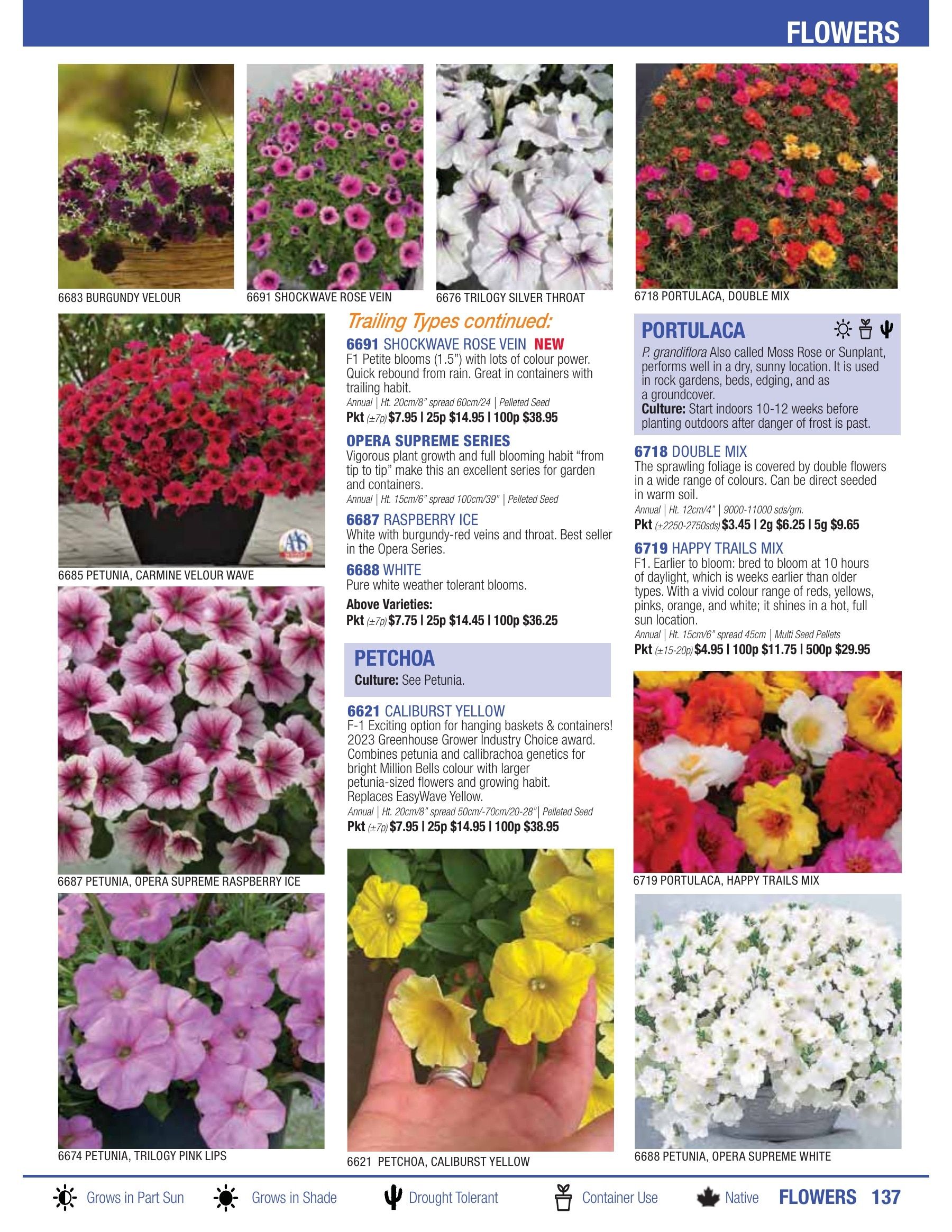 William Dam Seeds Annual Catalog Weekly Ad January 1 - October 31, 2026
