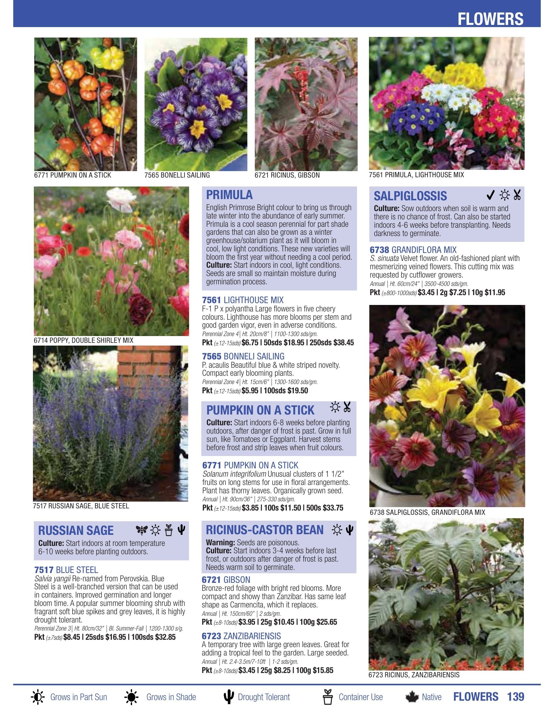 William Dam Seeds Annual Catalog Weekly Ad January 1 - October 31, 2026