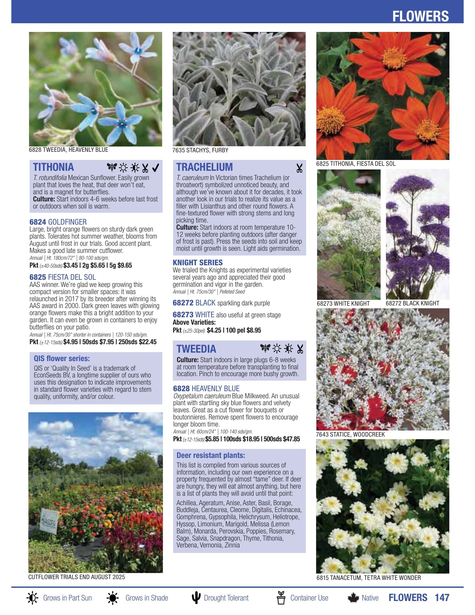 William Dam Seeds Annual Catalog Weekly Ad January 1 - October 31, 2026