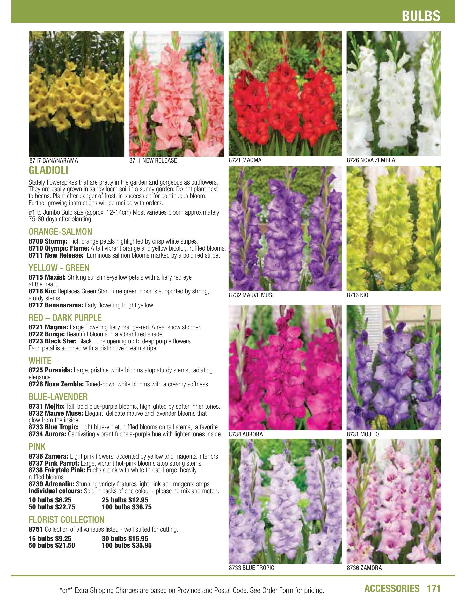 William Dam Seeds Annual Catalog Weekly Ad January 1 - October 31, 2026