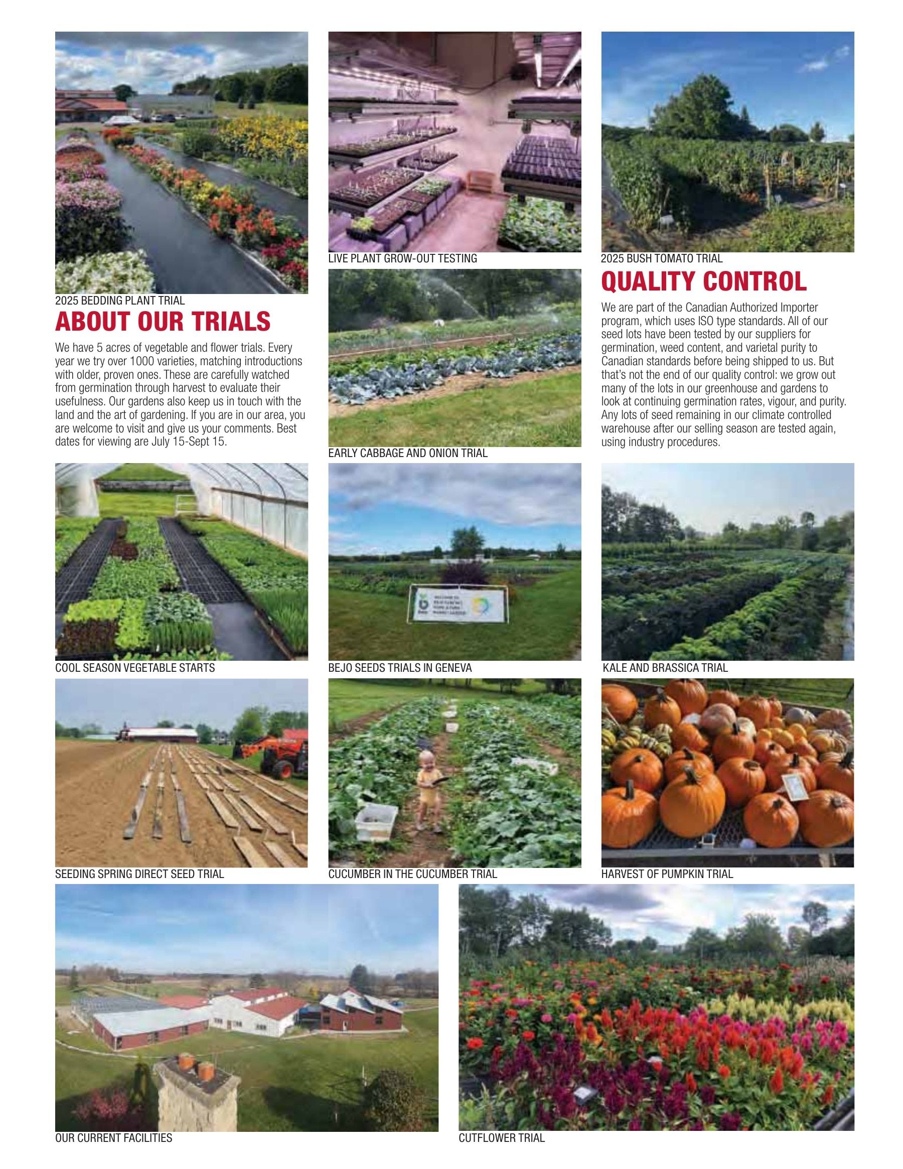 William Dam Seeds Annual Catalog Weekly Ad January 1 - October 31, 2026