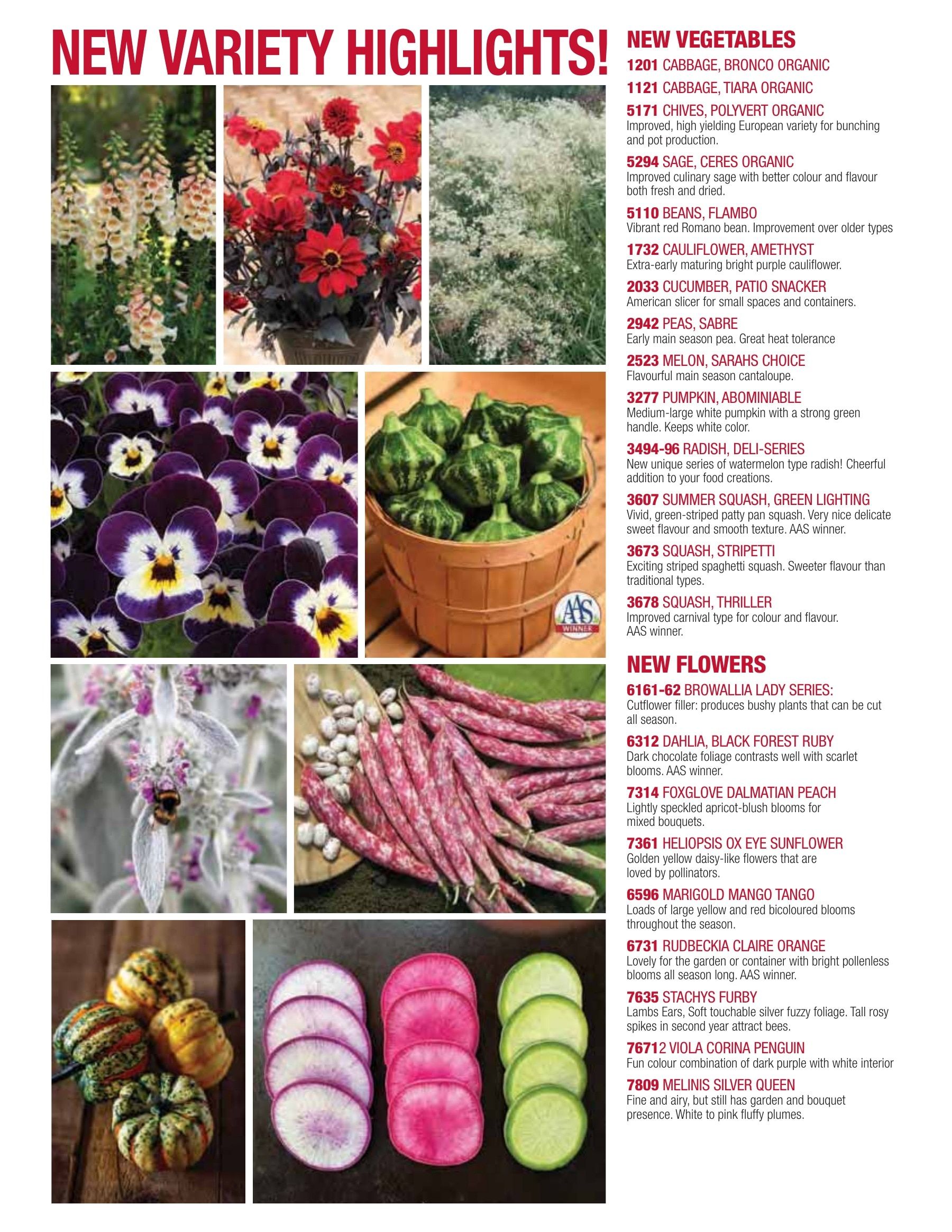 William Dam Seeds Annual Catalog Weekly Ad January 1 - October 31, 2026