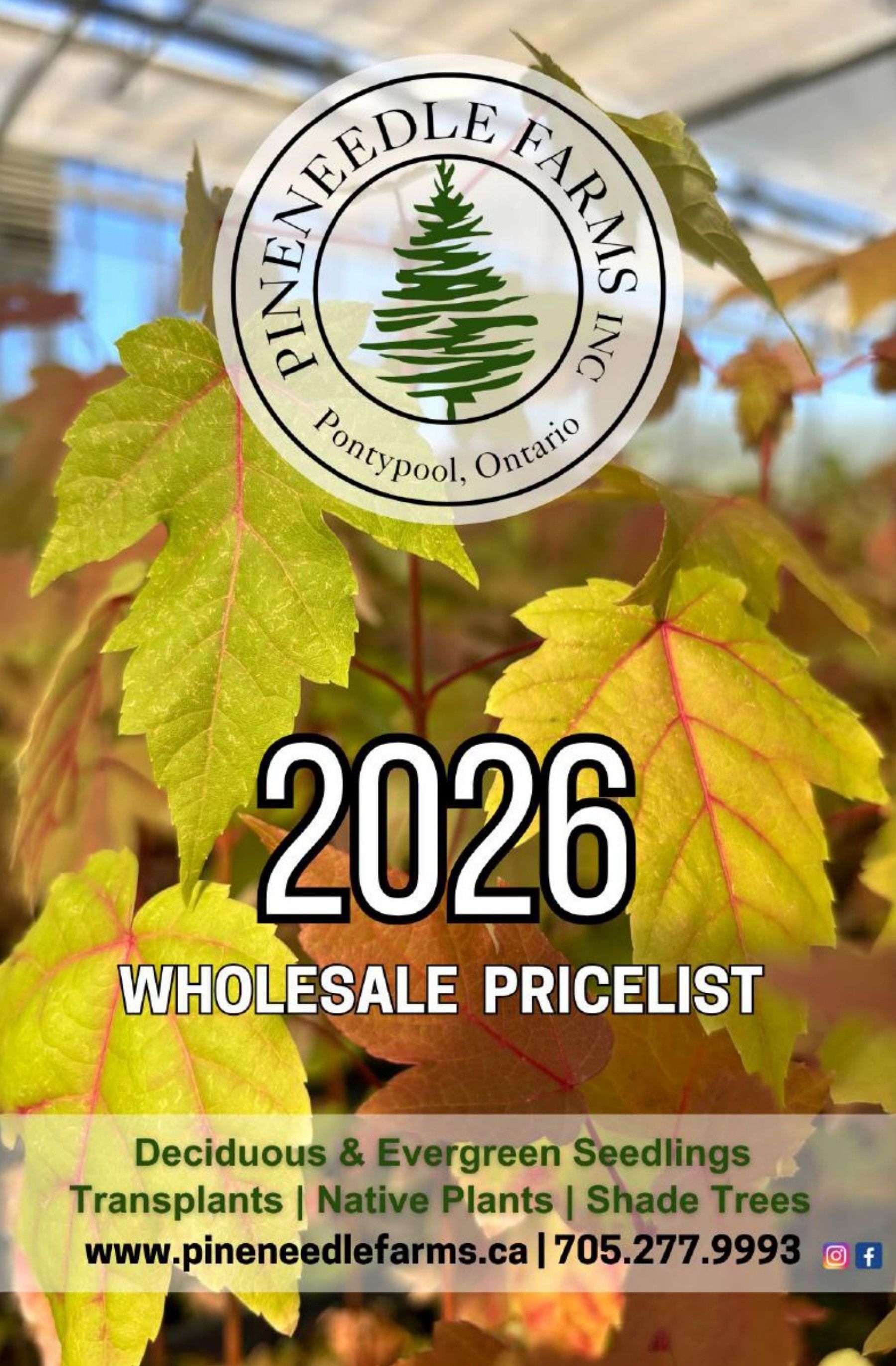 Pineneedle Farms Annual Catalog Weekly Ad January 1 - December 31, 2026
