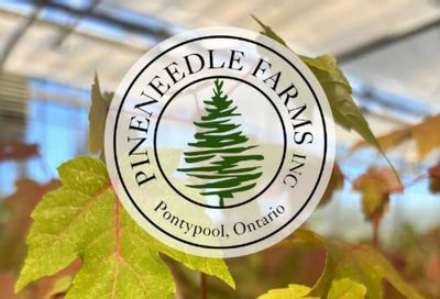 Pineneedle Farms Annual Catalog Weekly Ad January 1 - December 31, 2026