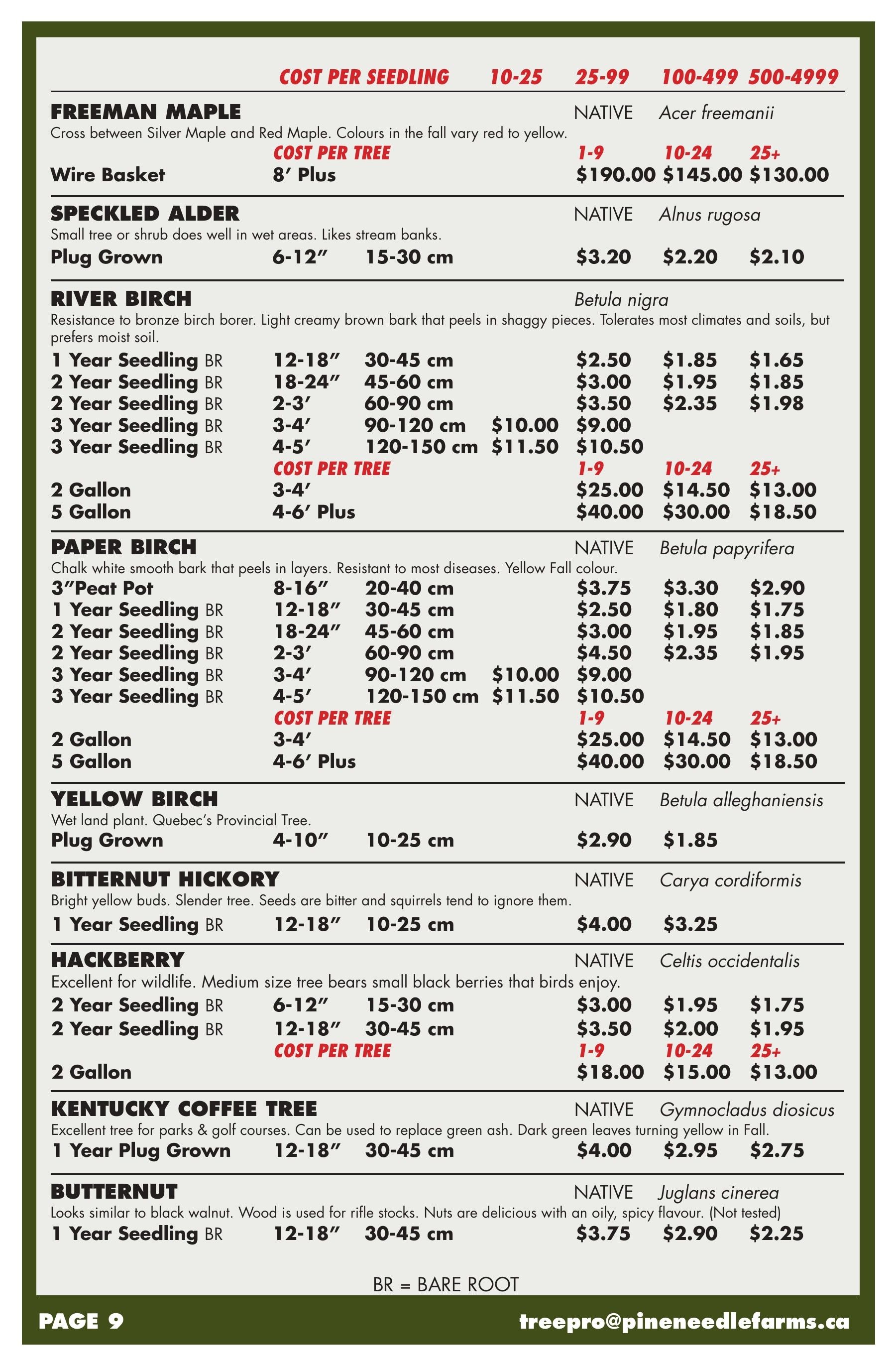 Pineneedle Farms Annual Catalog Weekly Ad January 1 - December 31, 2026