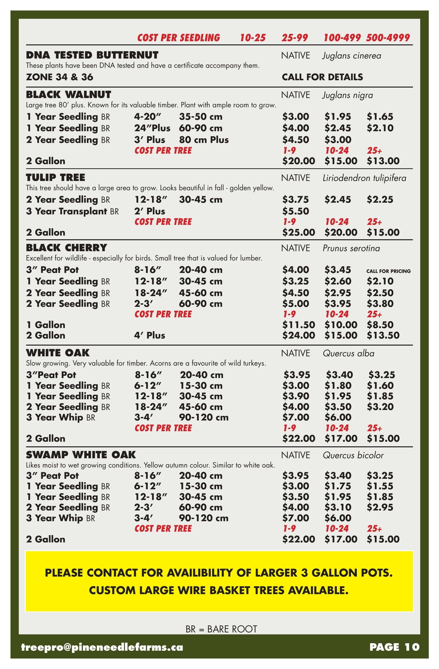 Pineneedle Farms Annual Catalog Weekly Ad January 1 - December 31, 2026