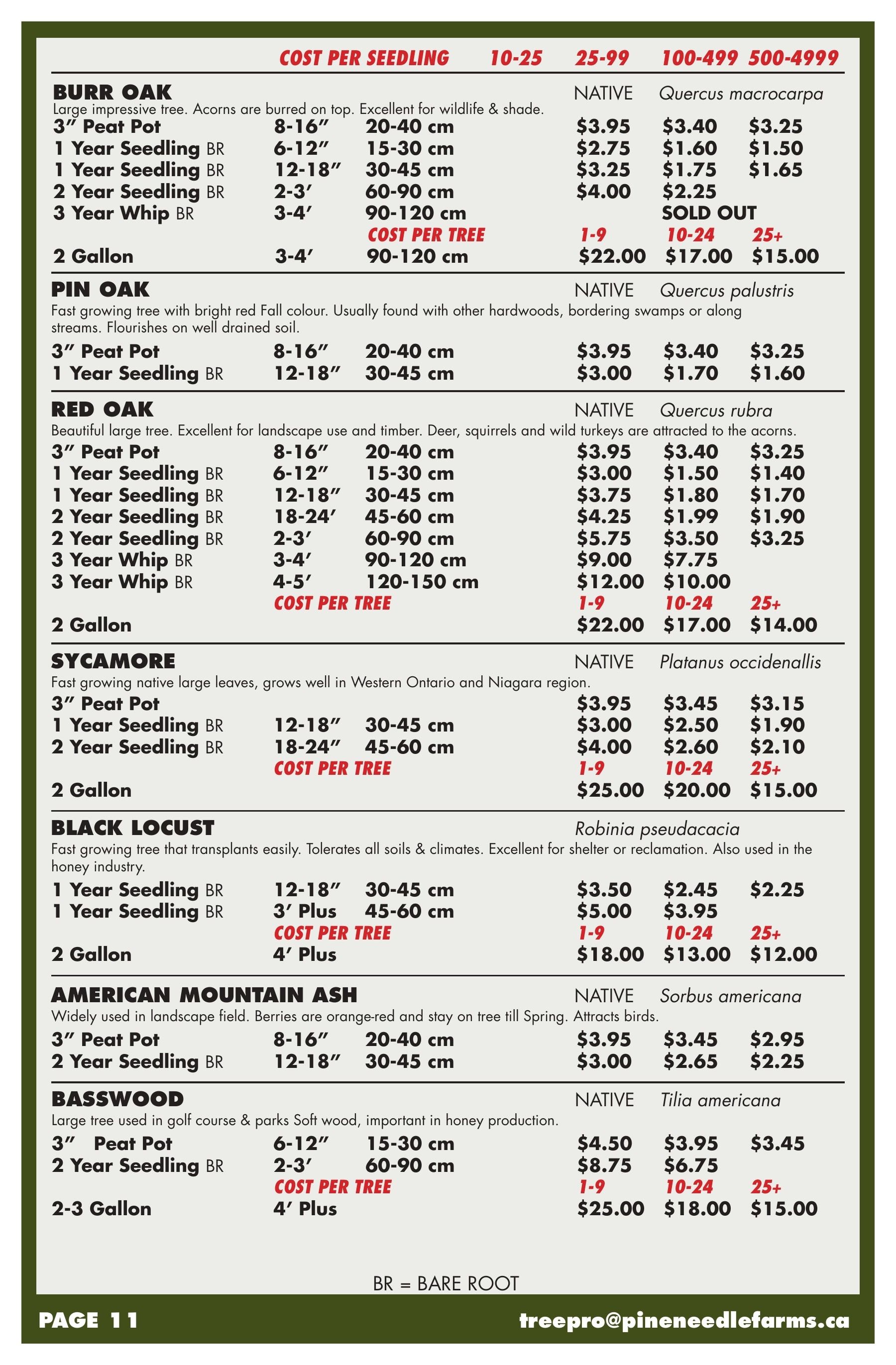 Pineneedle Farms Annual Catalog Weekly Ad January 1 - December 31, 2026