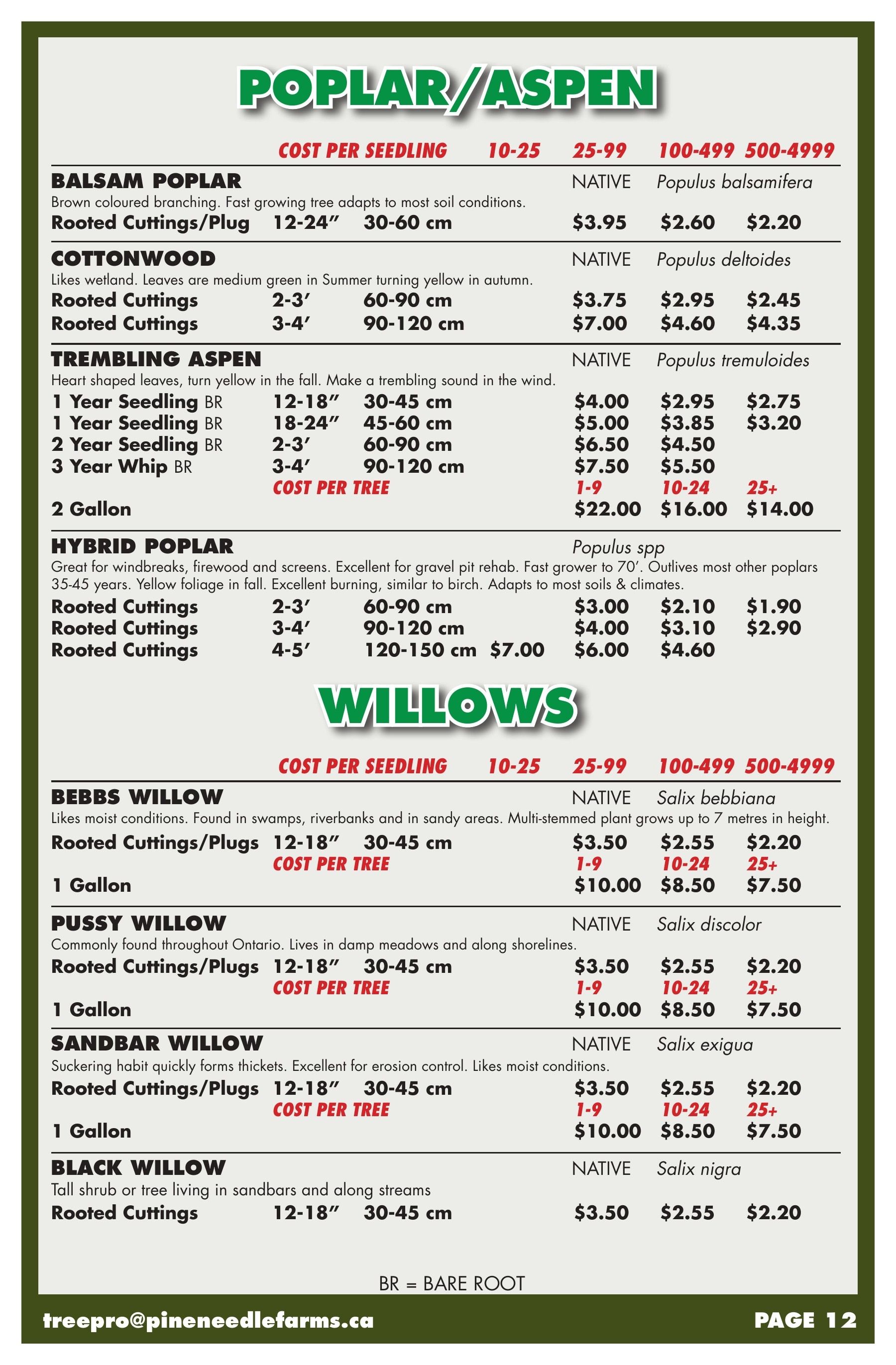 Pineneedle Farms Annual Catalog Weekly Ad January 1 - December 31, 2026